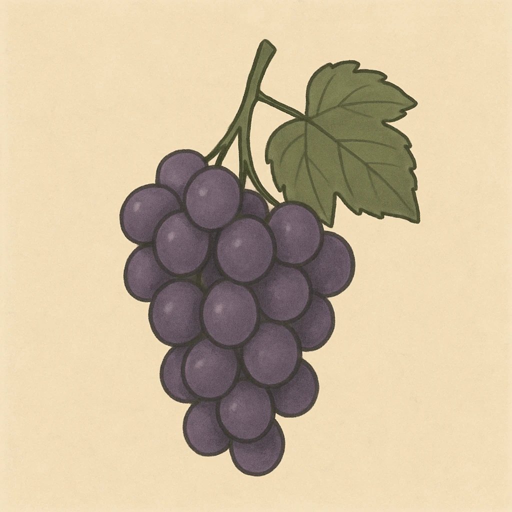 Picture of Grapes note
