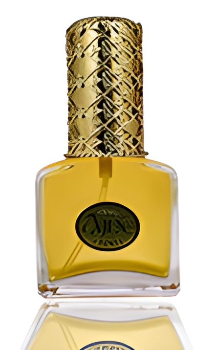 Houston by Ajne perfume bottle