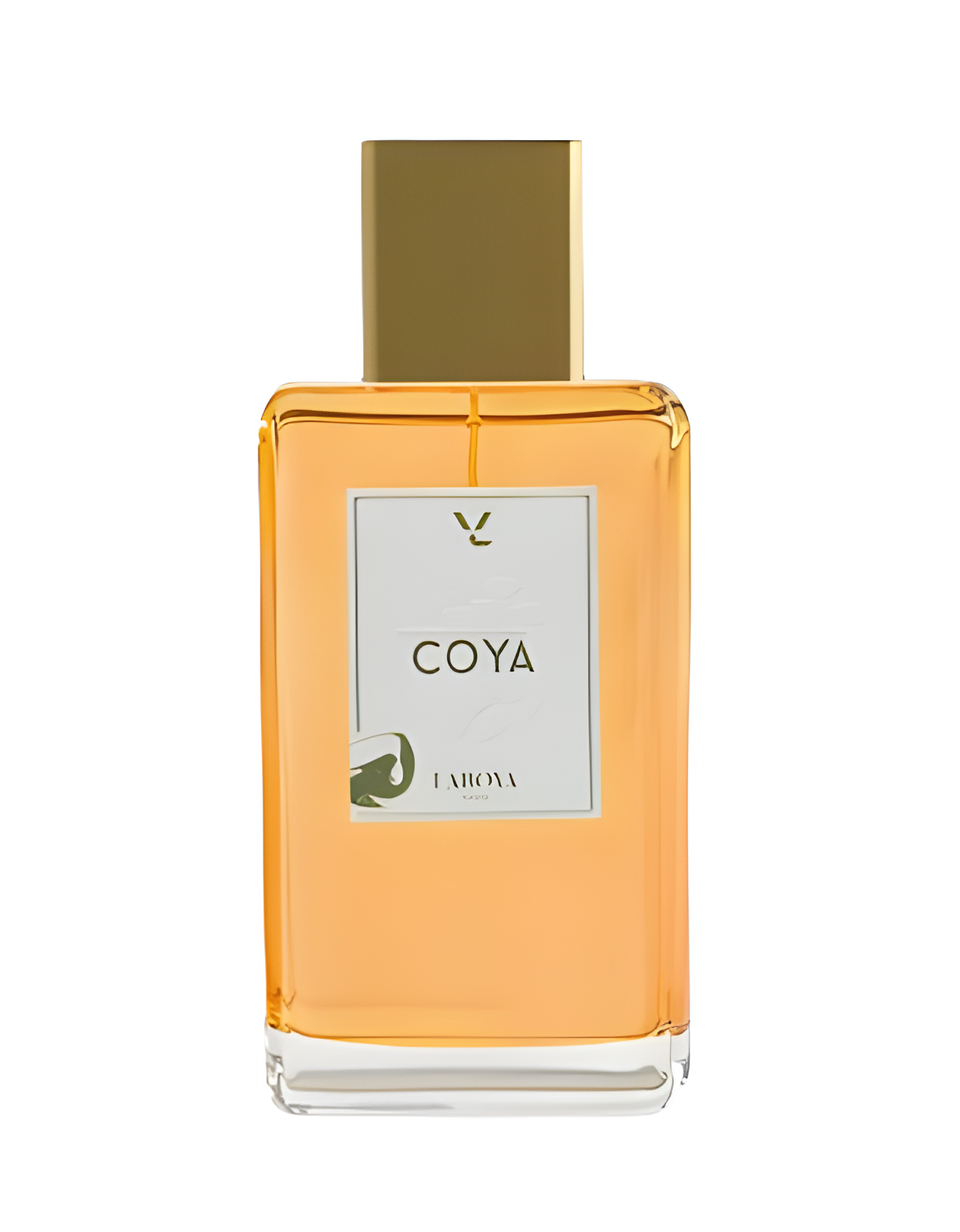 Coya by Laboya Paris perfume bottle