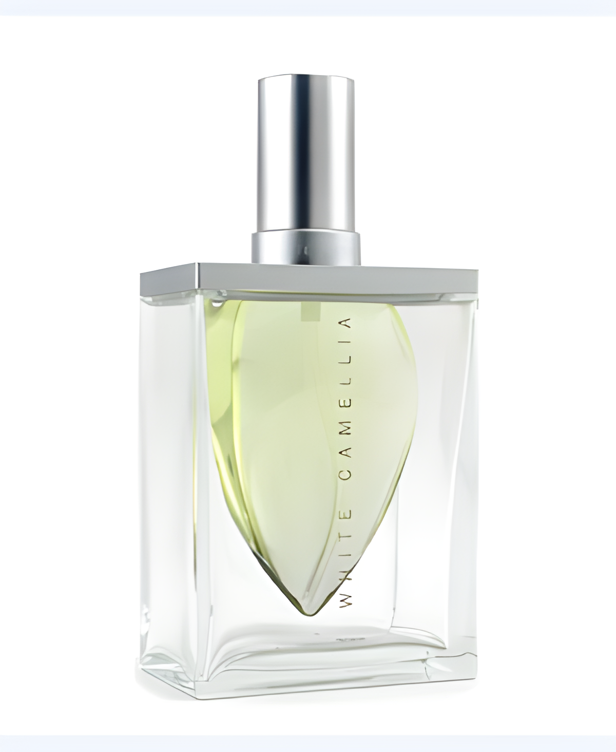 White Camellia by St. John perfume bottle