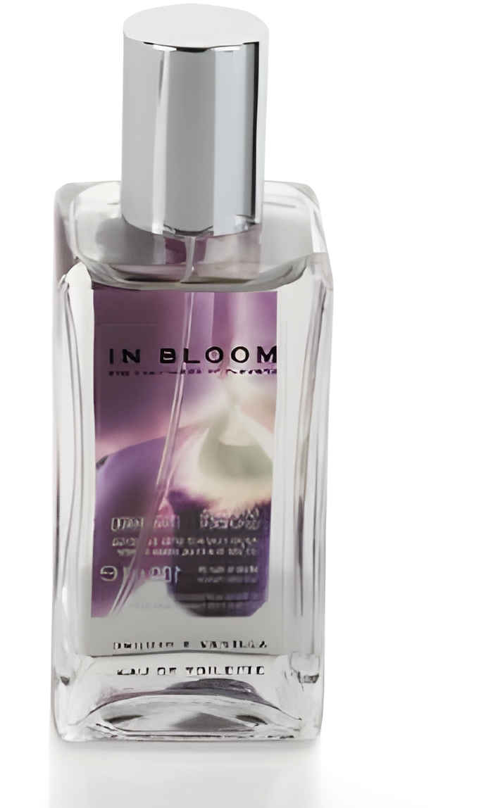 Orchid and Vanilla by Marks & Spencer perfume bottle