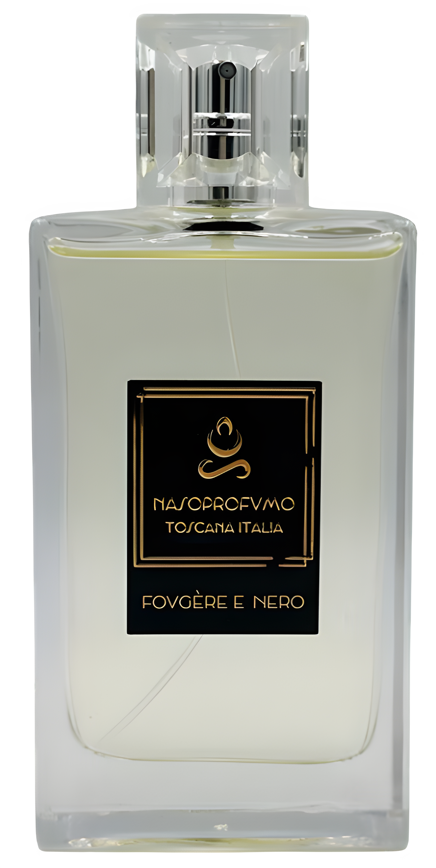 Fougère E Nero by NasoProfumo perfume bottle