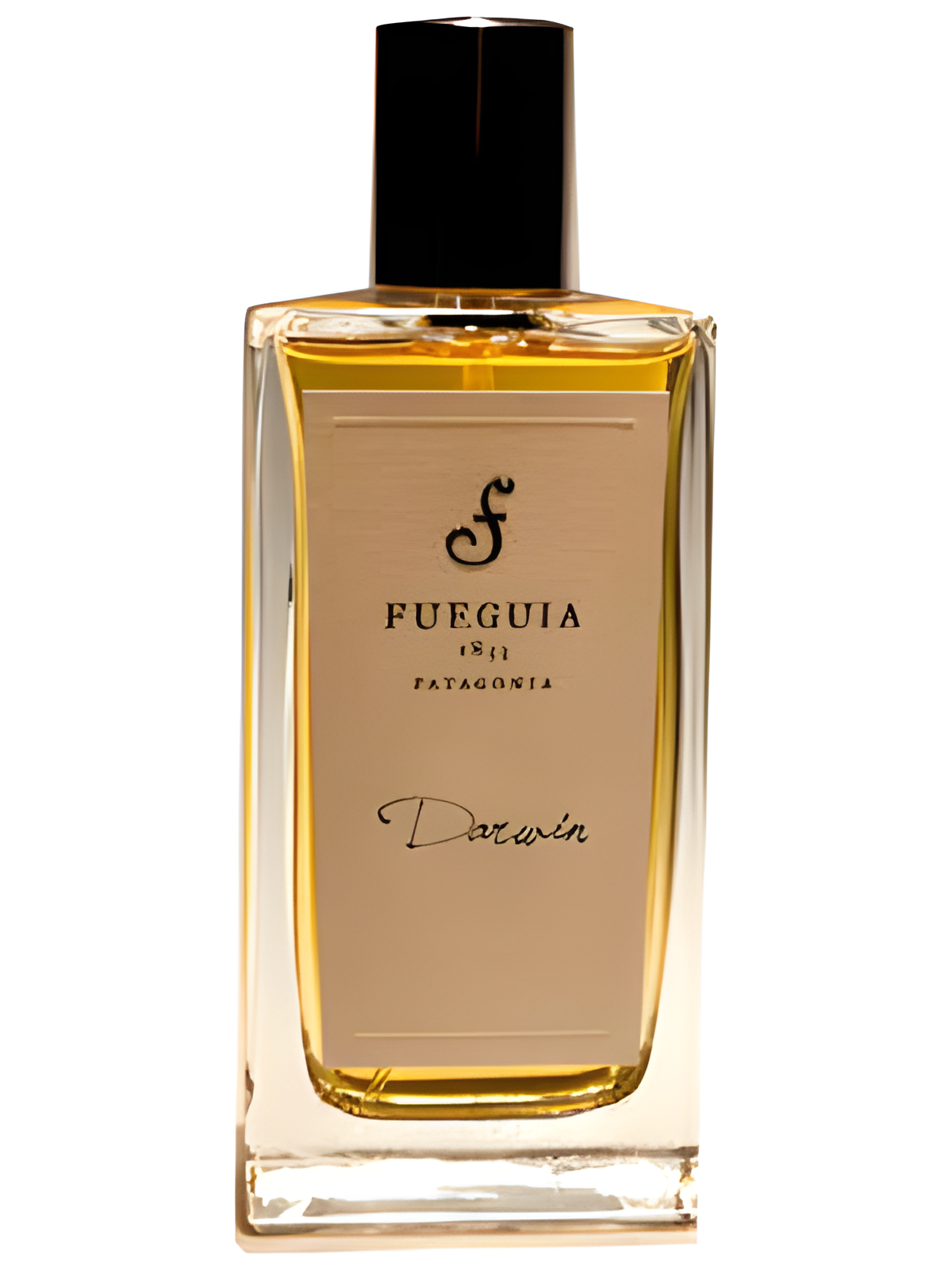 Darwin by Fueguia 1833 perfume bottle