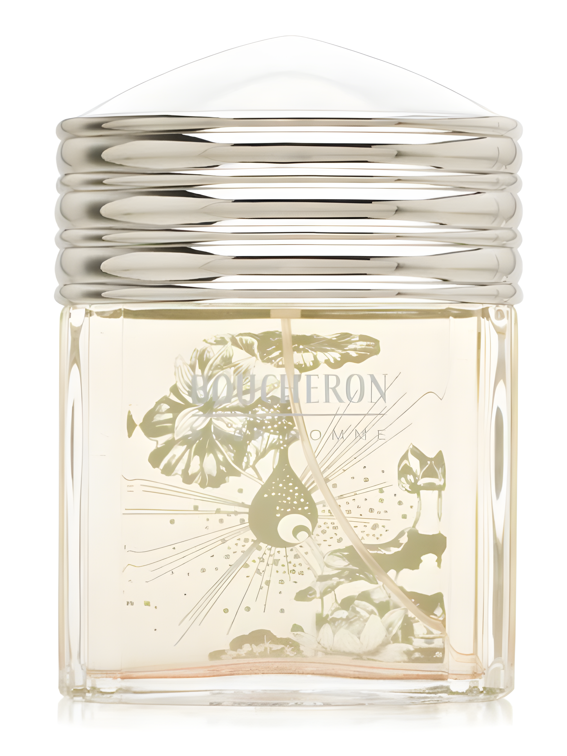 Boucheron Homme Eau de Toilette Fraicheur 2008 by Boucheron perfume bottle