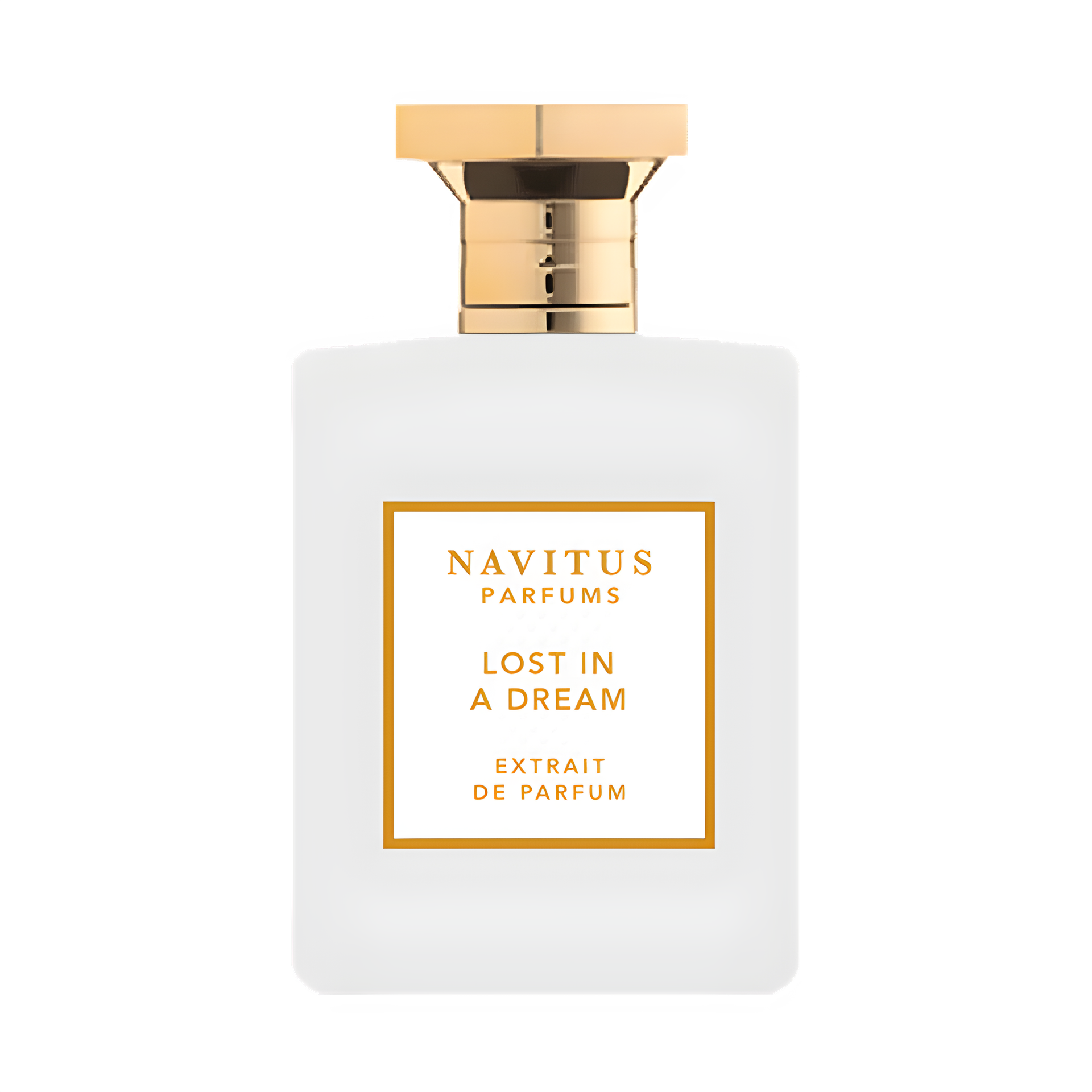 Lost in a Dream by Navitus Parfums perfume bottle