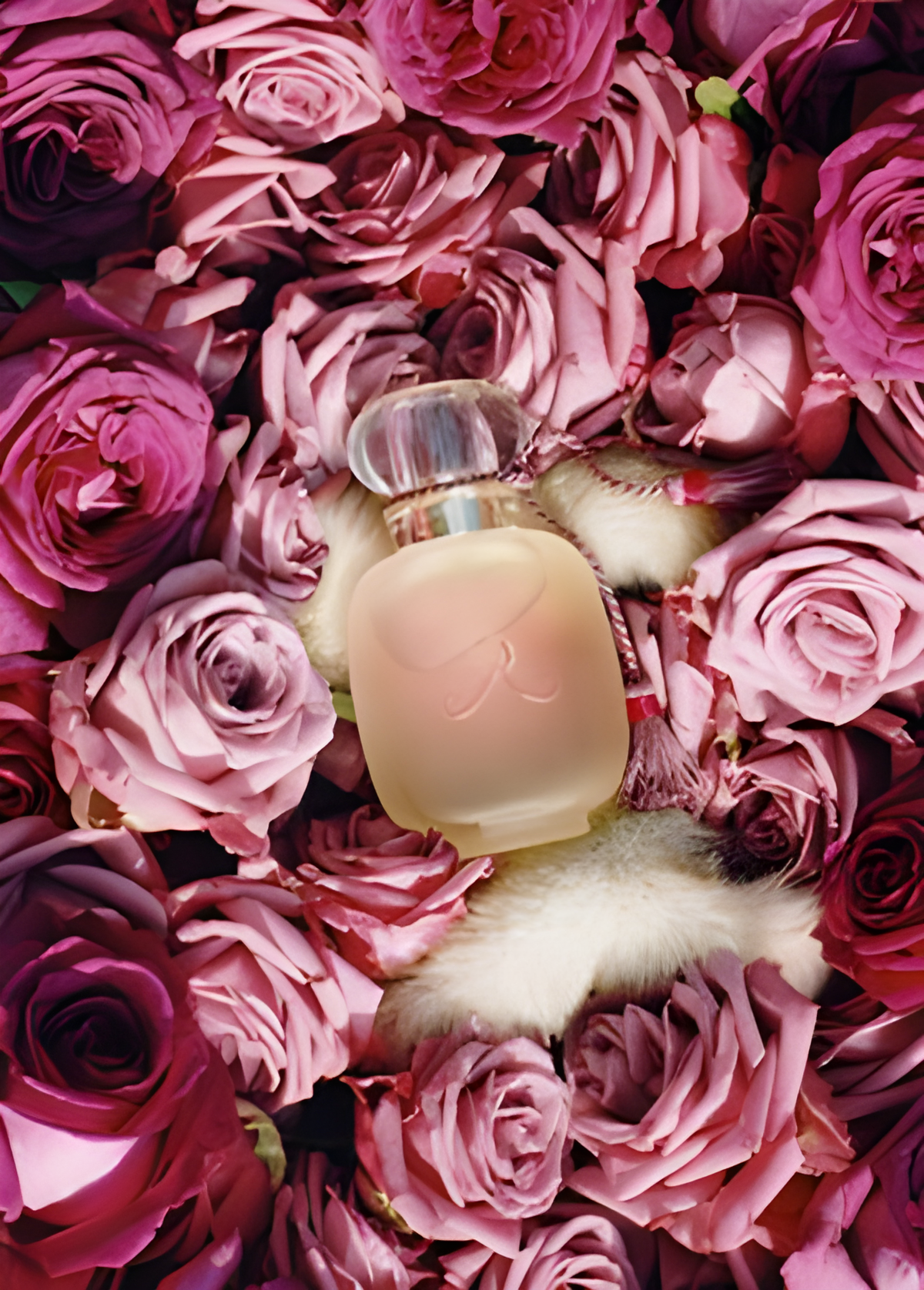 Une Folie de Rose by Les Parfums de Rosine