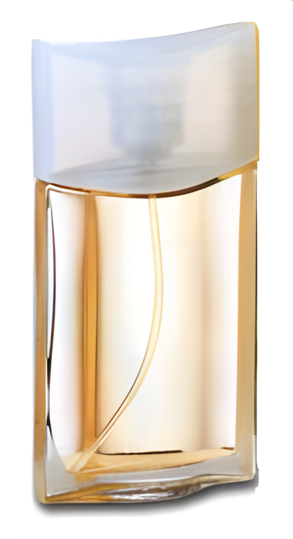 Vanilla Soft Musk by Avon perfume bottle