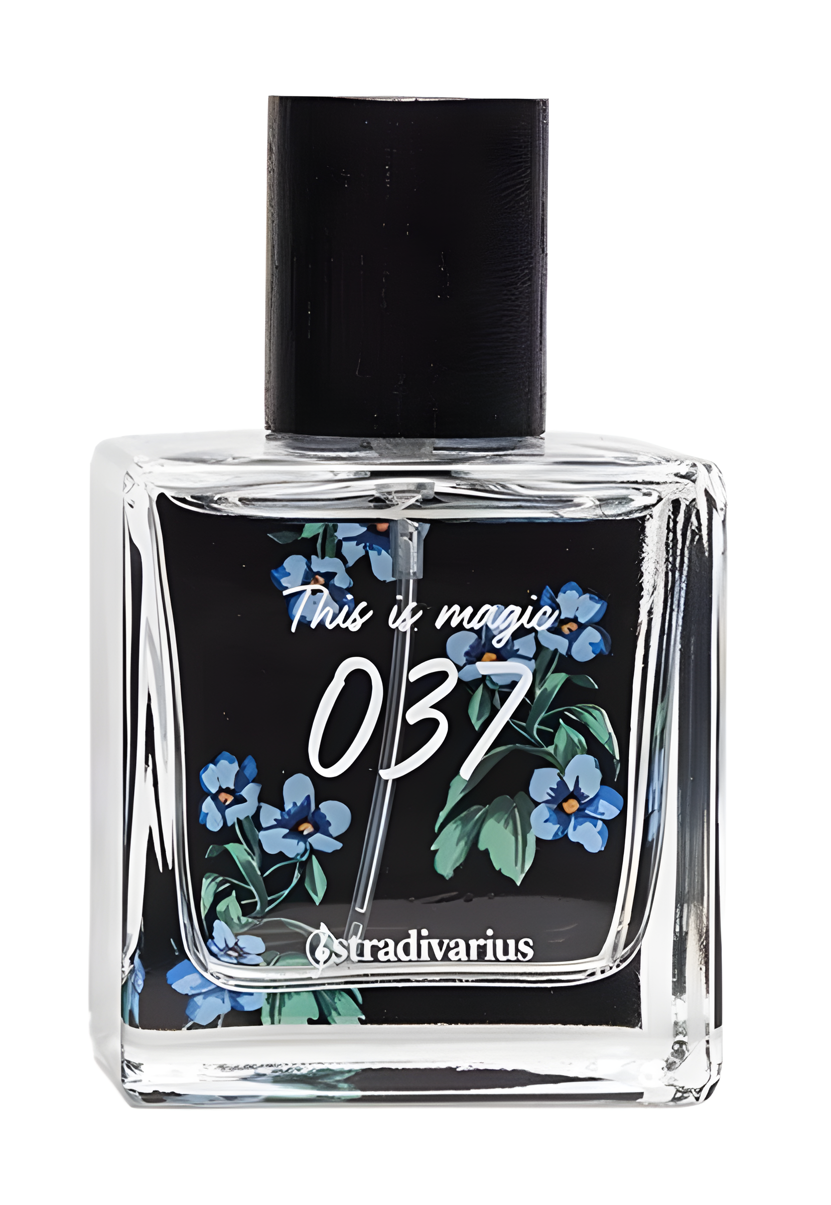 037 This Is Magic by Stradivarius perfume bottle