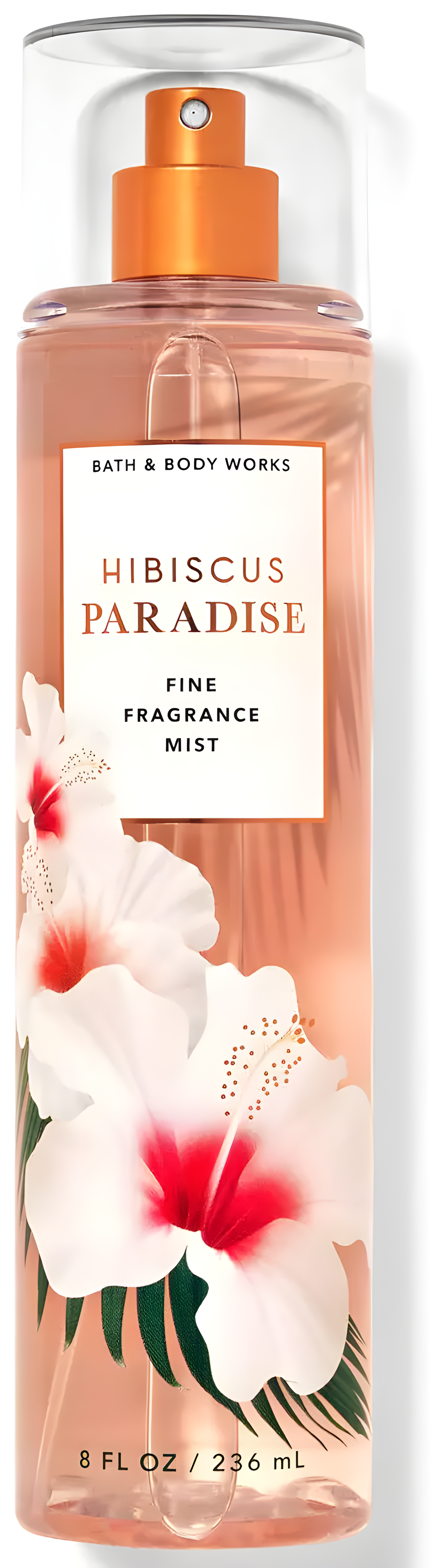 Hibiscus Paradise by Bath & Body Works perfume bottle