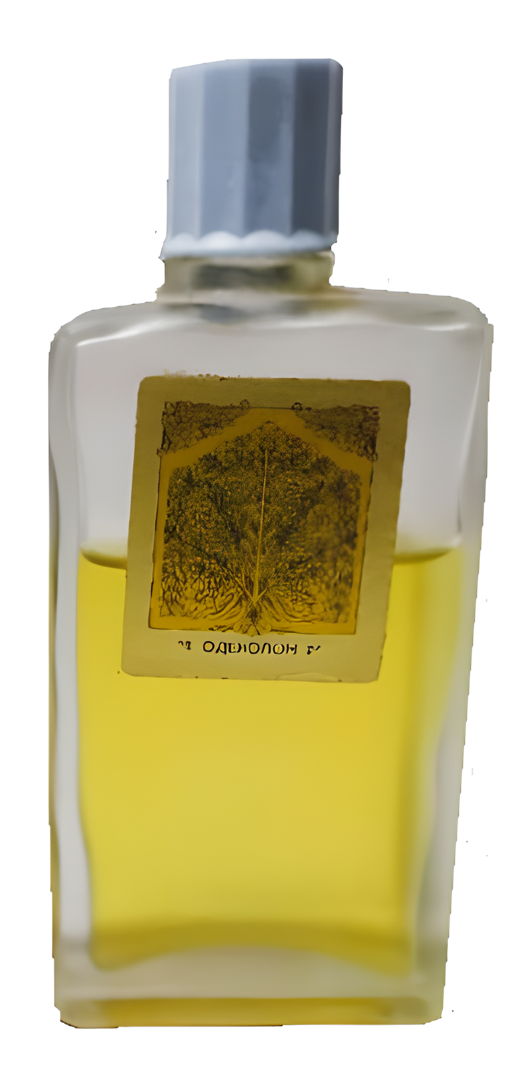 Тахир by Tashkent Perfume factory LOLA perfume bottle