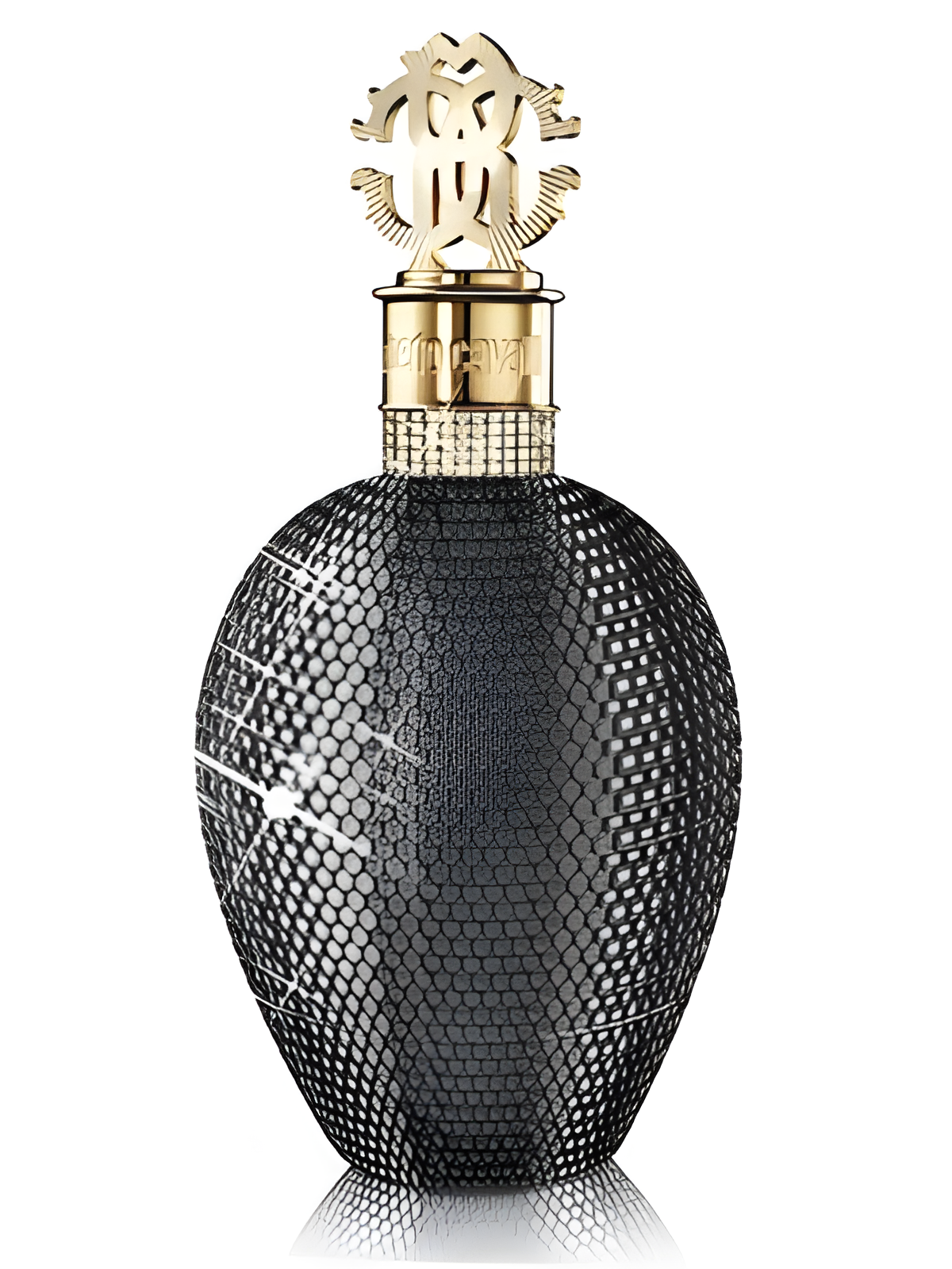 Roberto Cavalli Nero Assoluto Exclusive Edition by Roberto Cavalli perfume bottle