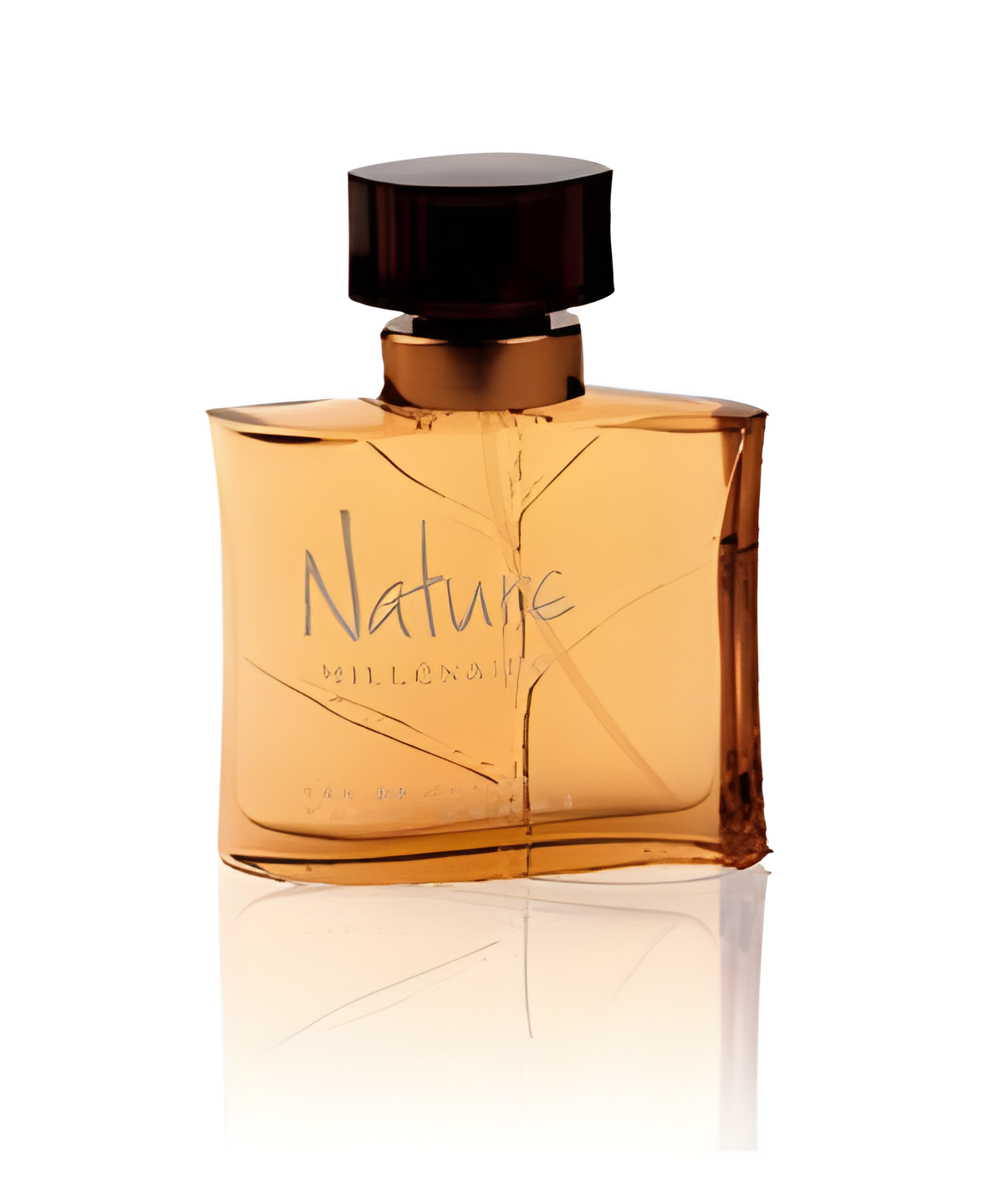 Nature Millenaire Pour Homme by Yves Rocher perfume bottle