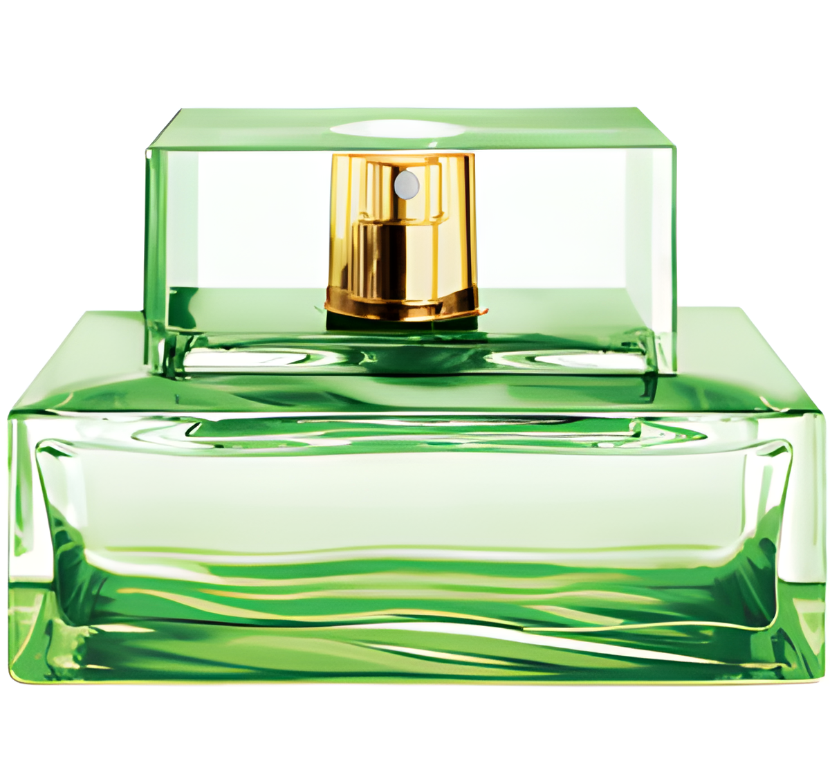 Island Palm Beach by Michael Kors perfume bottle