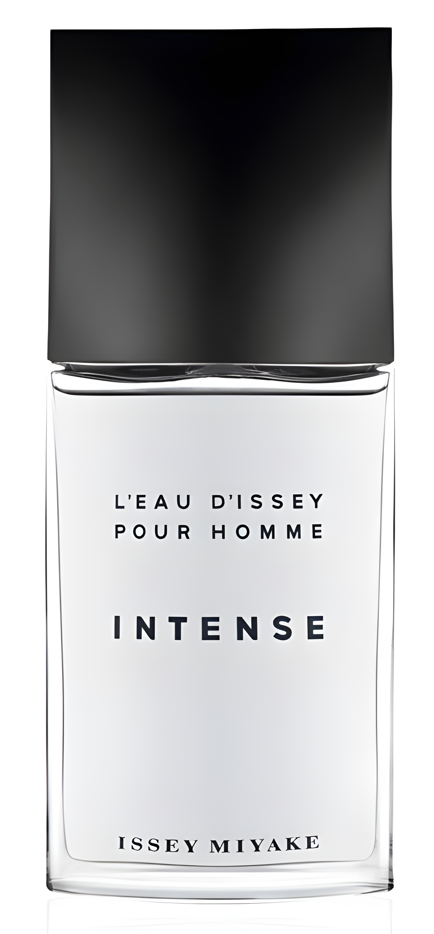 L'Eau d'Issey Pour Homme Intense by Issey Miyake perfume bottle