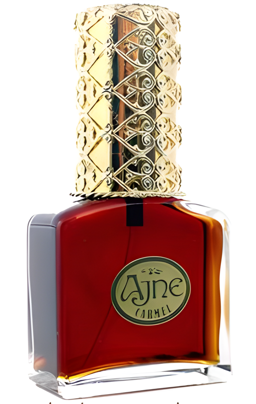 Om by Ajne perfume bottle