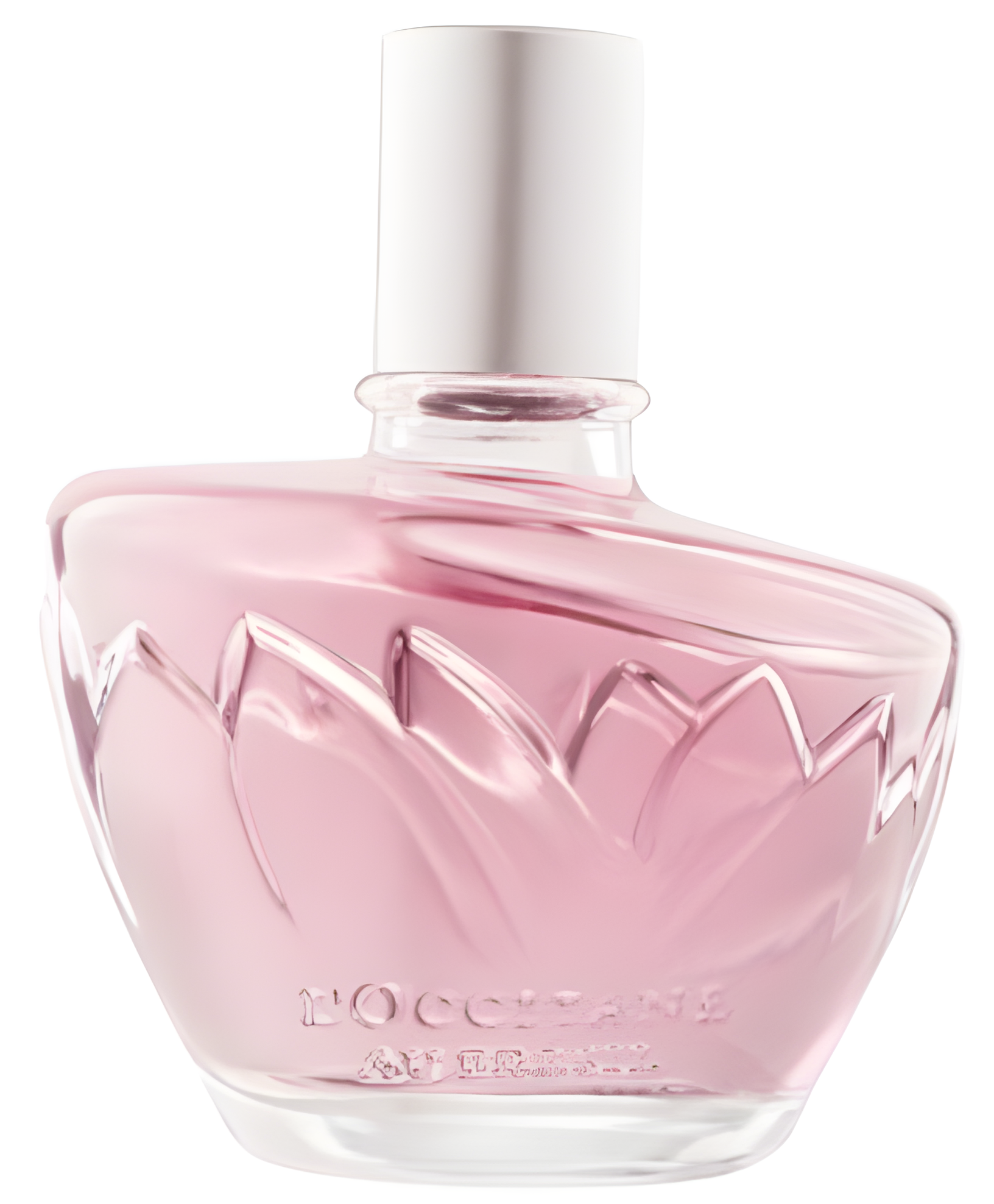 Ninfa Das Águas Fascínio by L’Occitane Au Brésil perfume bottle