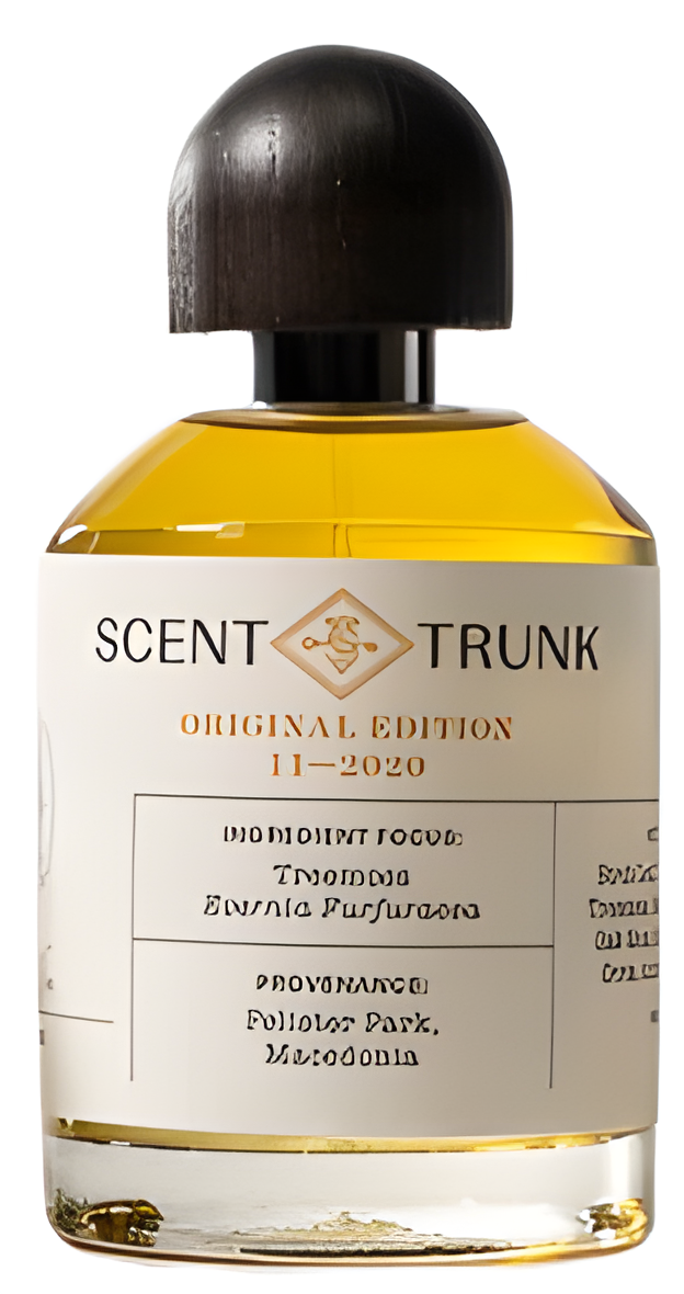 Treemoss by Scent Trunk perfume bottle