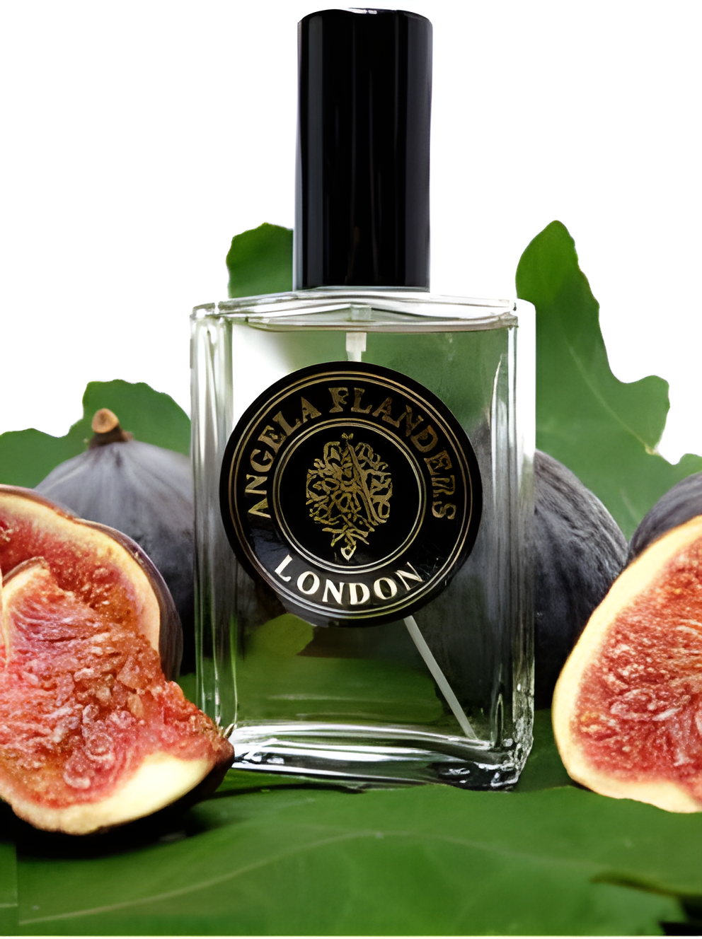 Figue Noire by Angela Flanders perfume bottle