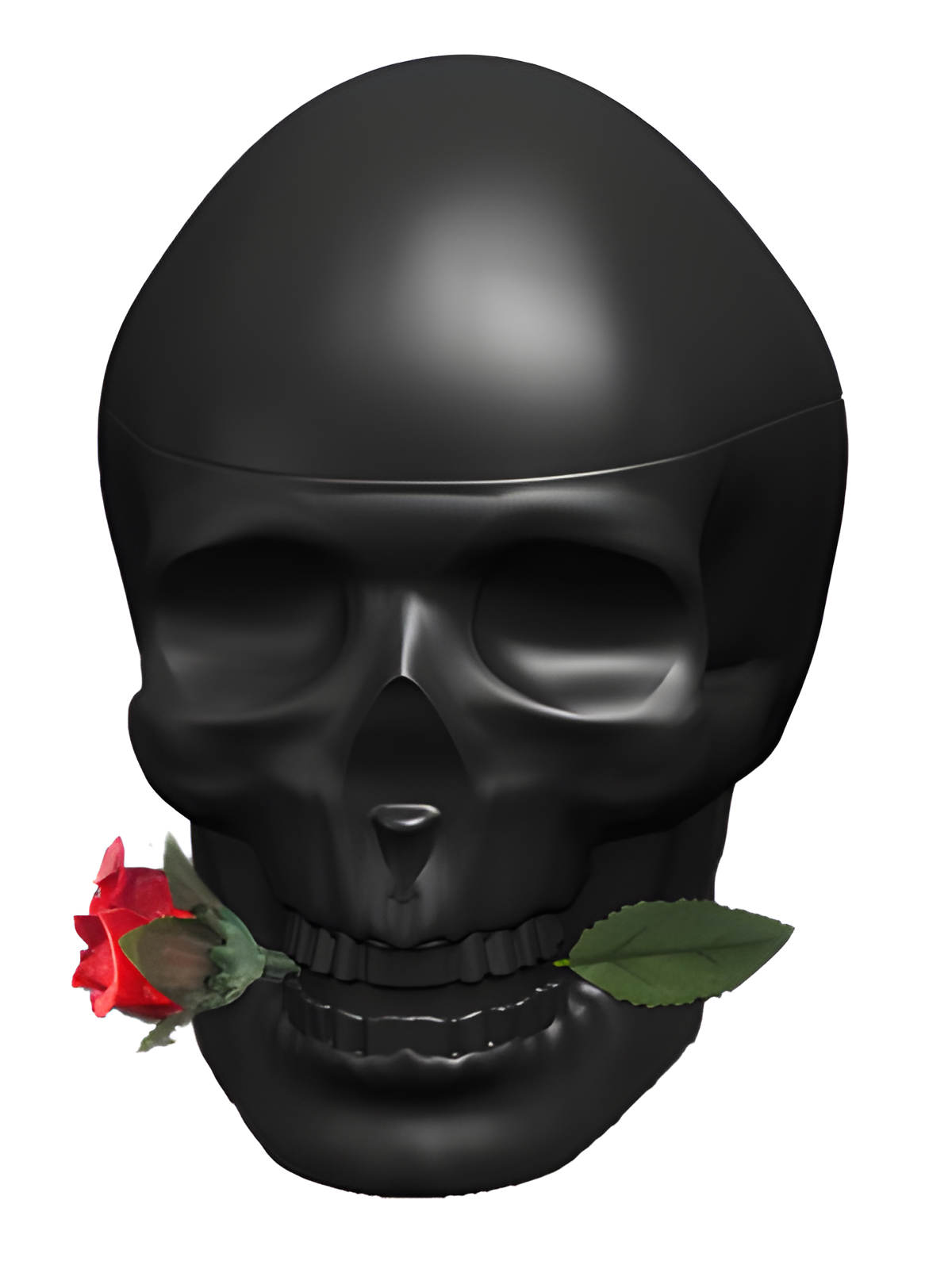 Ed Hardy Skulls & Roses for Him by Christian Audigier perfume bottle