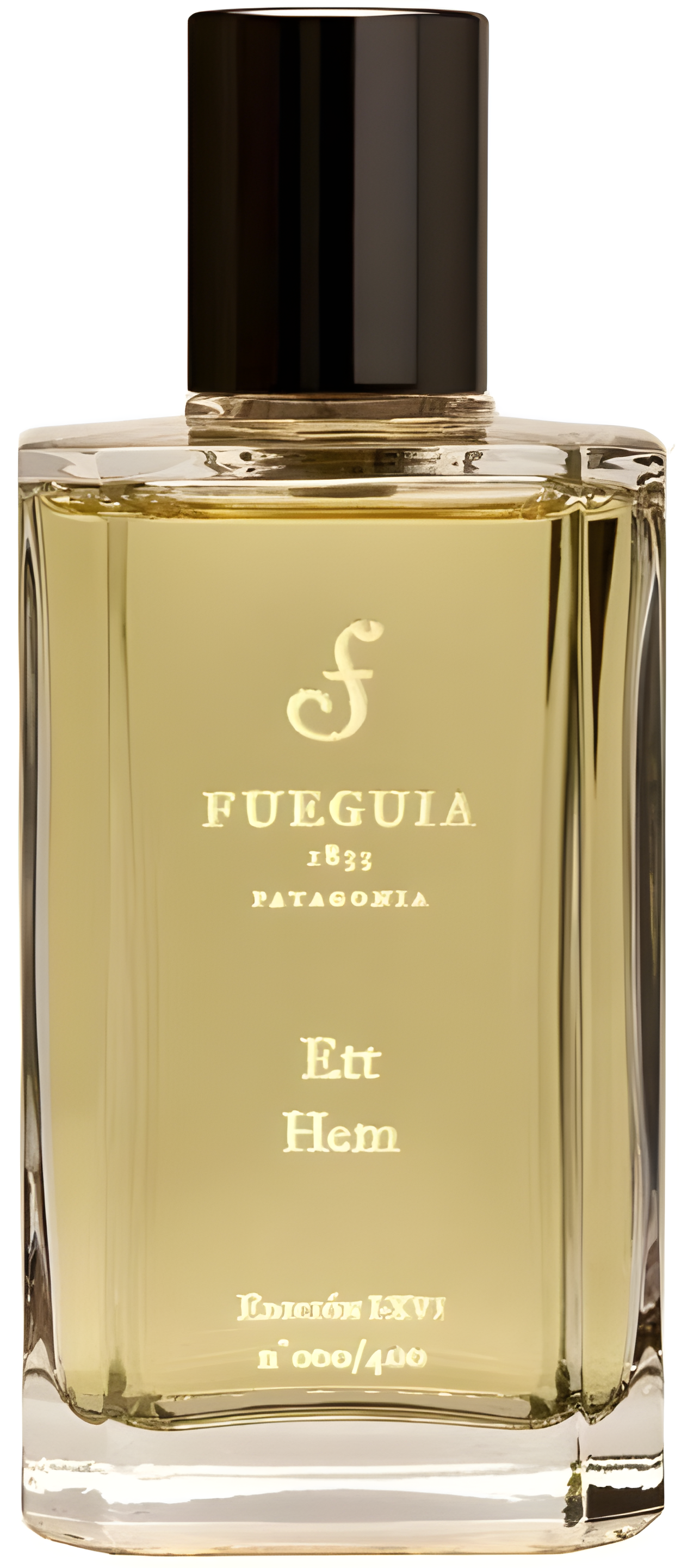 Ett Hem by Fueguia 1833 perfume bottle