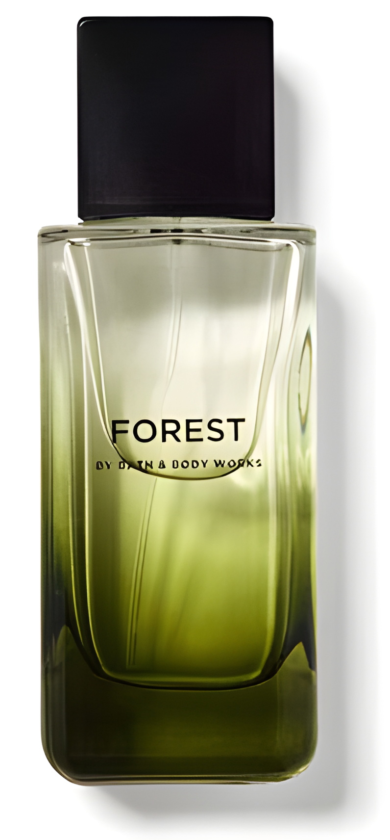 Forest by Bath & Body Works perfume bottle