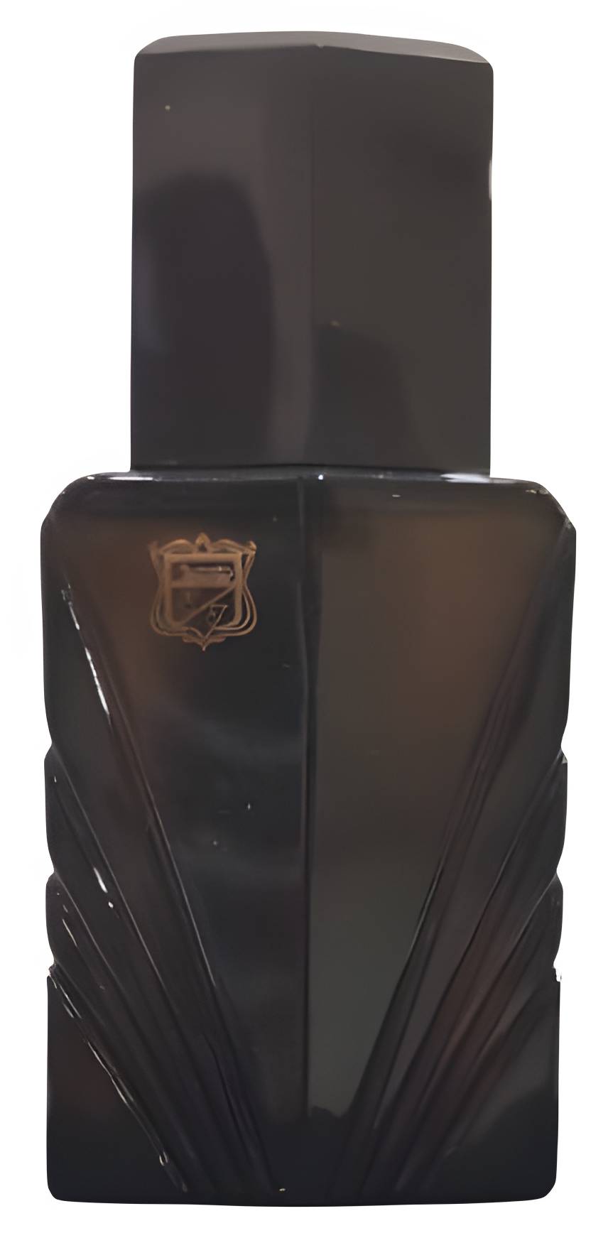 Passion for Men Cologne Concentree by Elizabeth Taylor perfume bottle