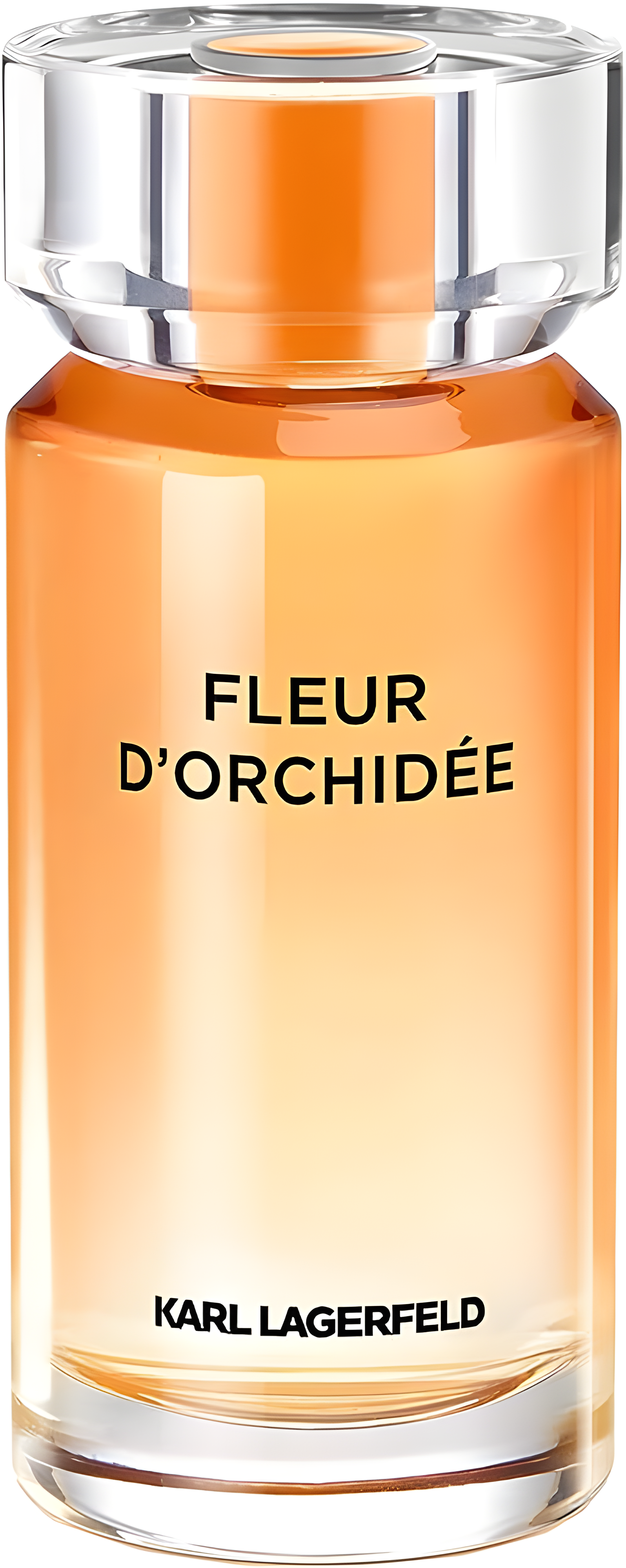 Fleur d'Orchidee by Karl Lagerfeld perfume bottle