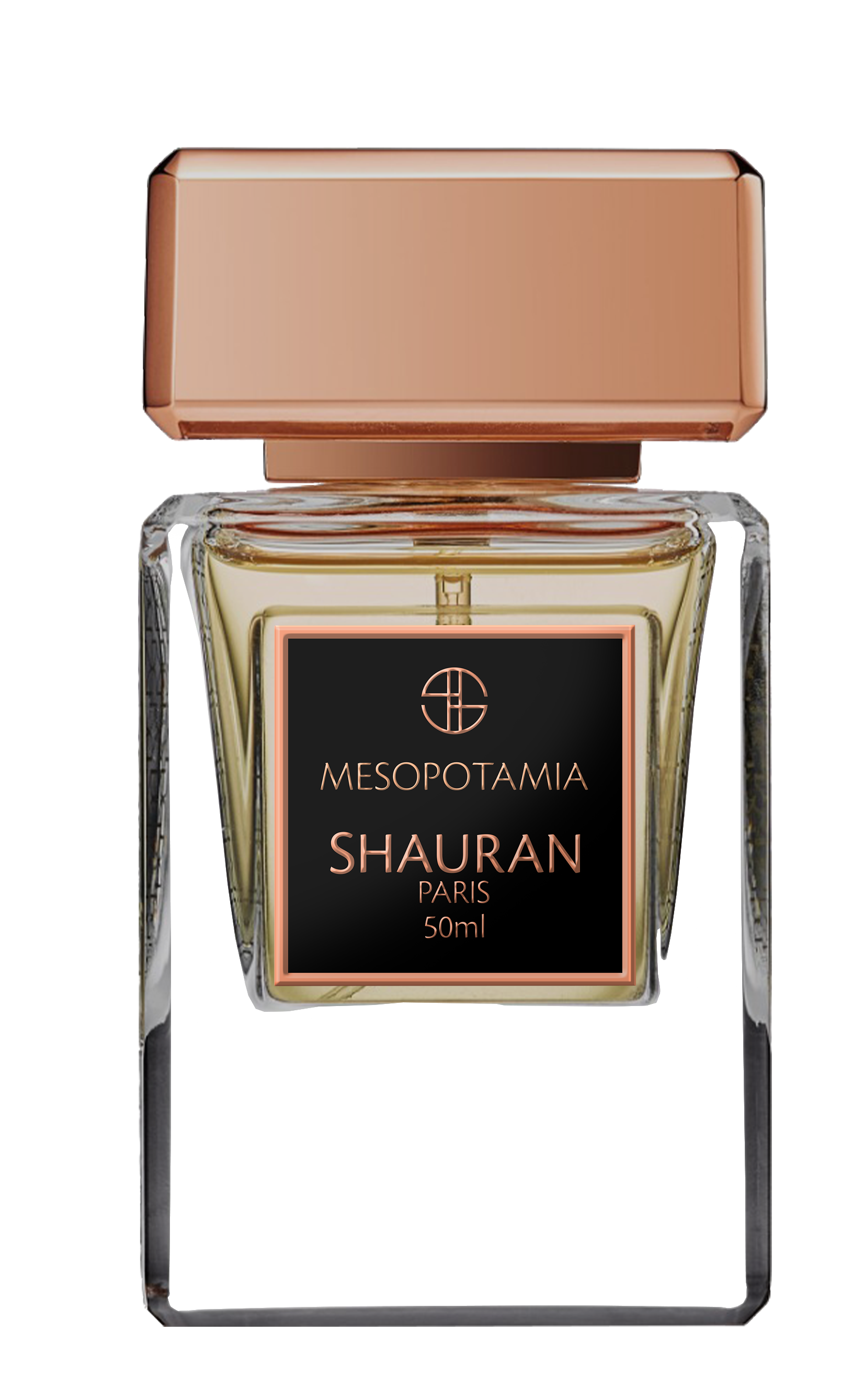 Mesopotamia by Shauran perfume bottle