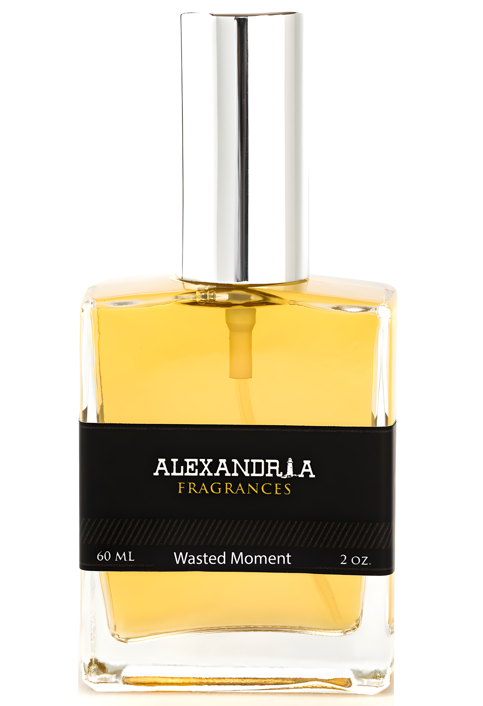 Wasted Moment by Alexandria Fragrances perfume bottle