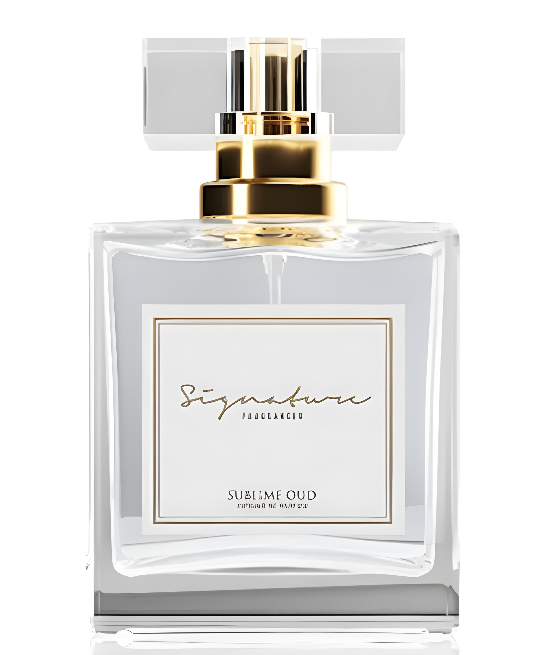 Sublime Oud by Signature Fragrances