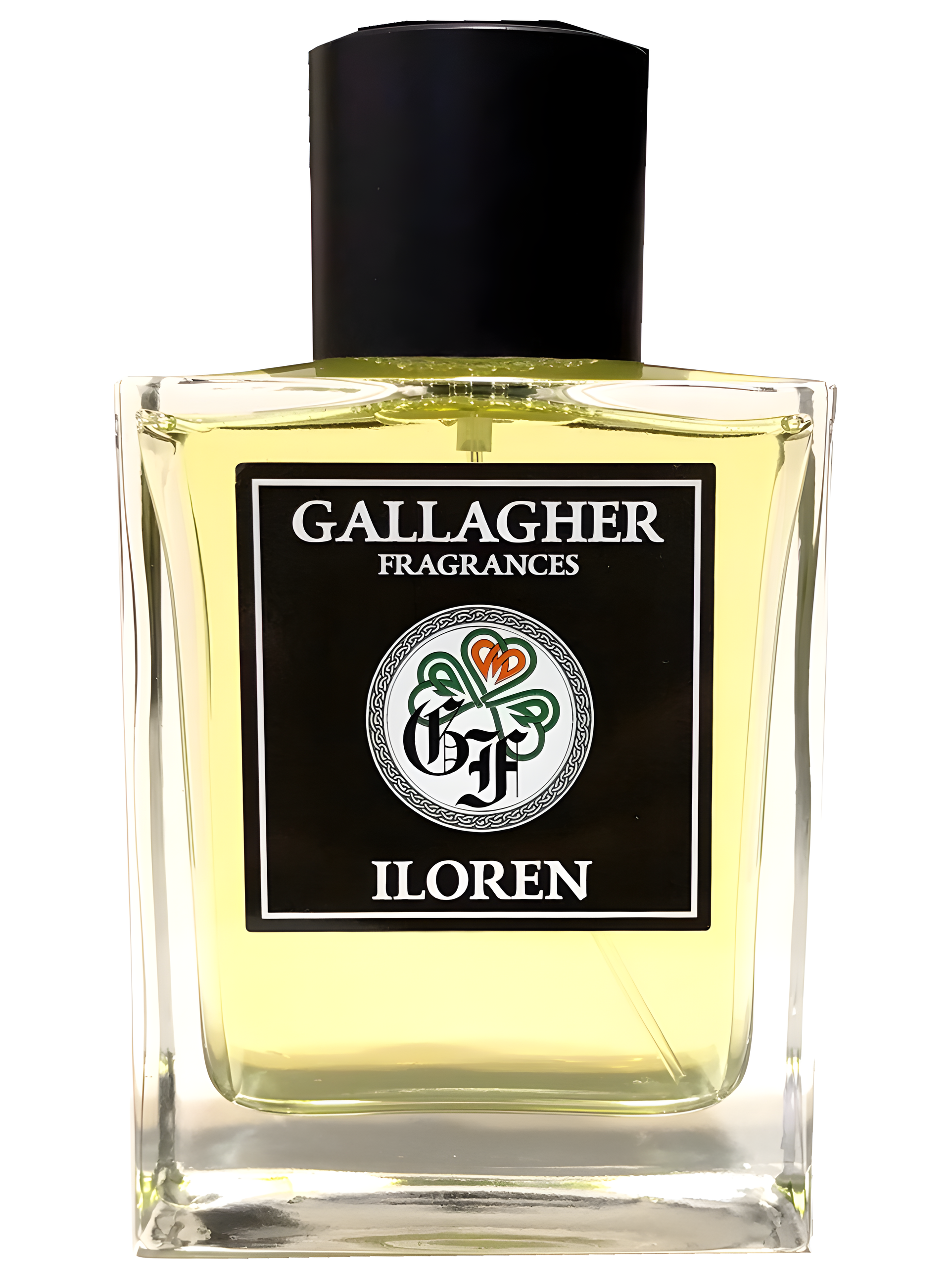 iloreN by Gallagher Fragrances perfume bottle