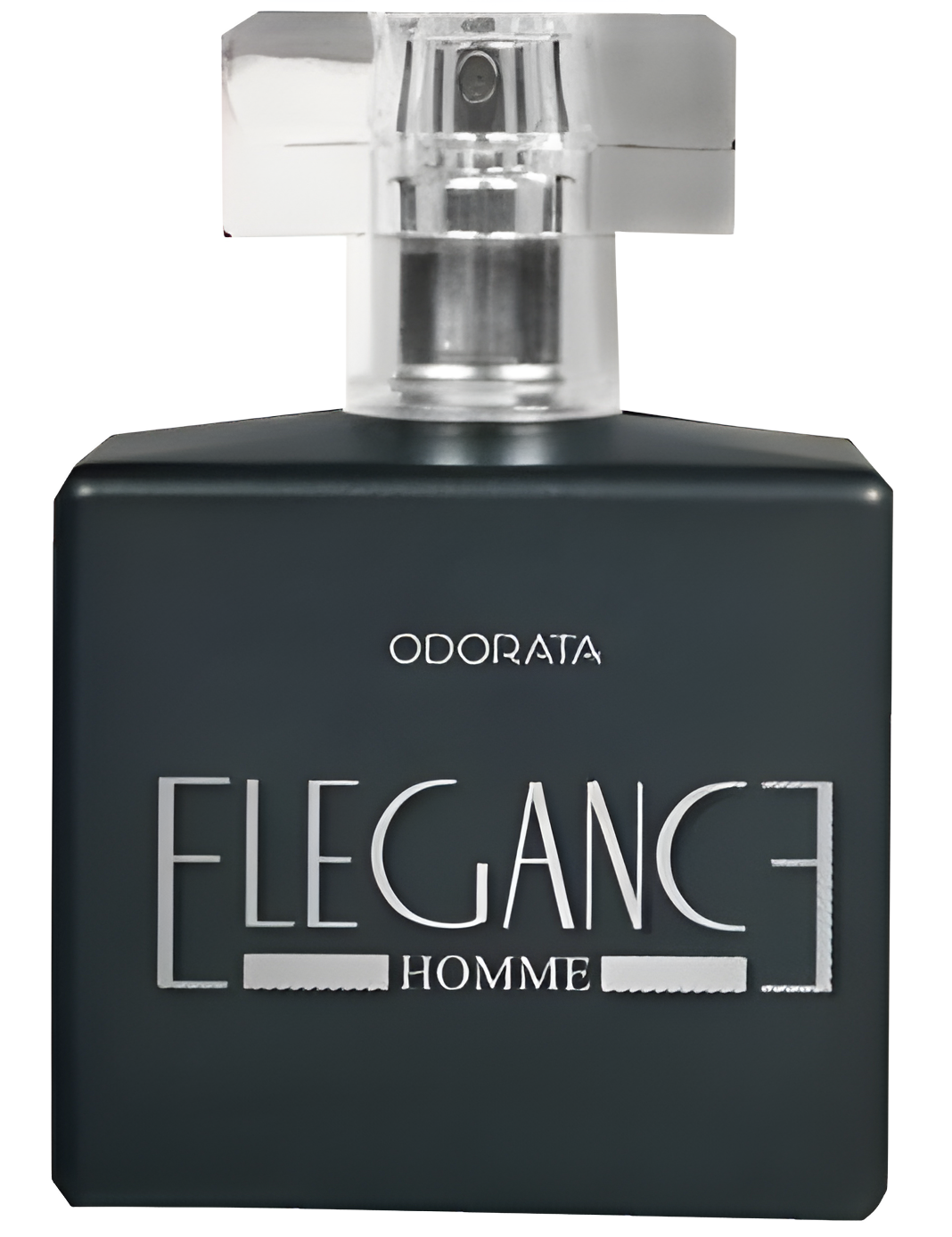 Elegance Homme by Odorata perfume bottle