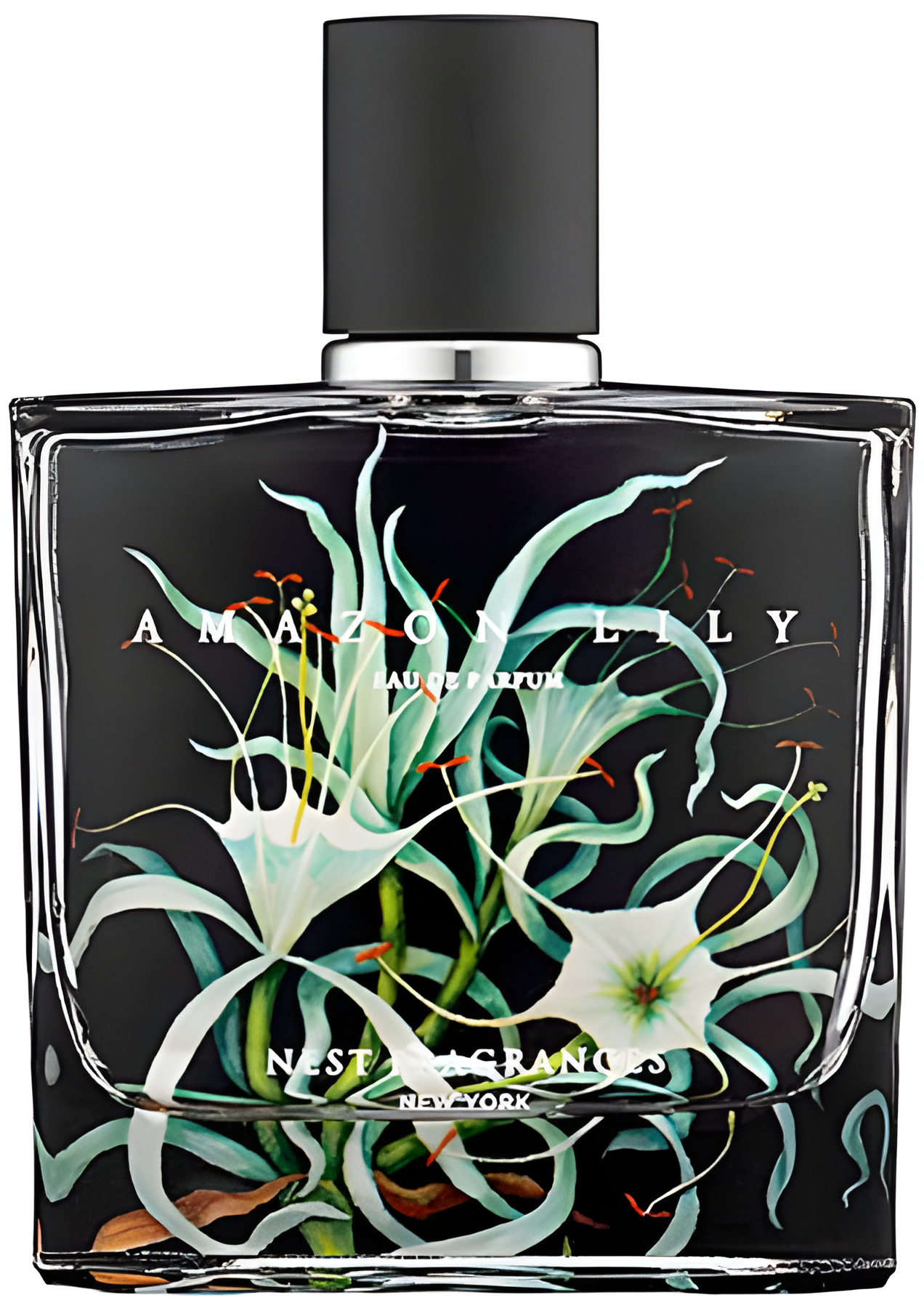Amazon Lily by Nest perfume bottle