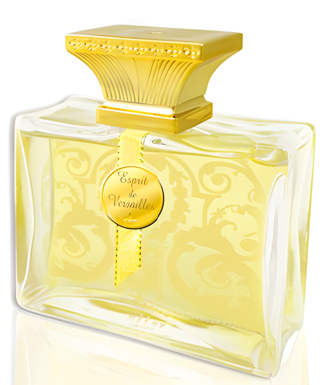 Esprit de Versailles for Her by Esprit de Versailles perfume bottle