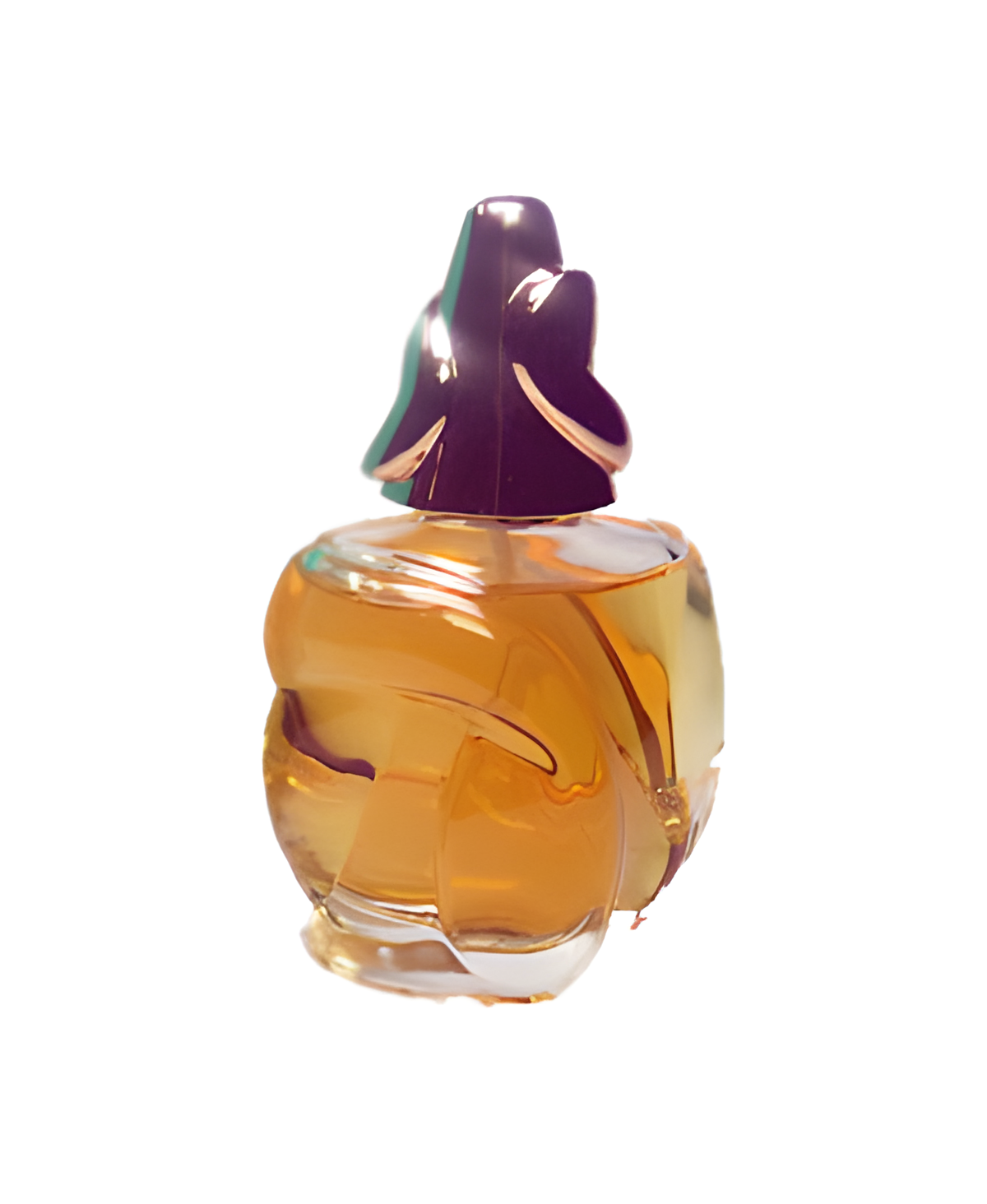 Sonia Bogner Now by Bogner perfume bottle