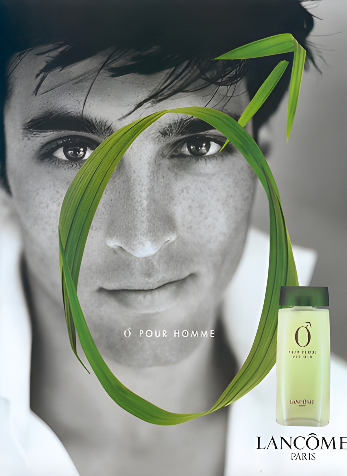 O Pour Homme by Lancôme perfume bottle