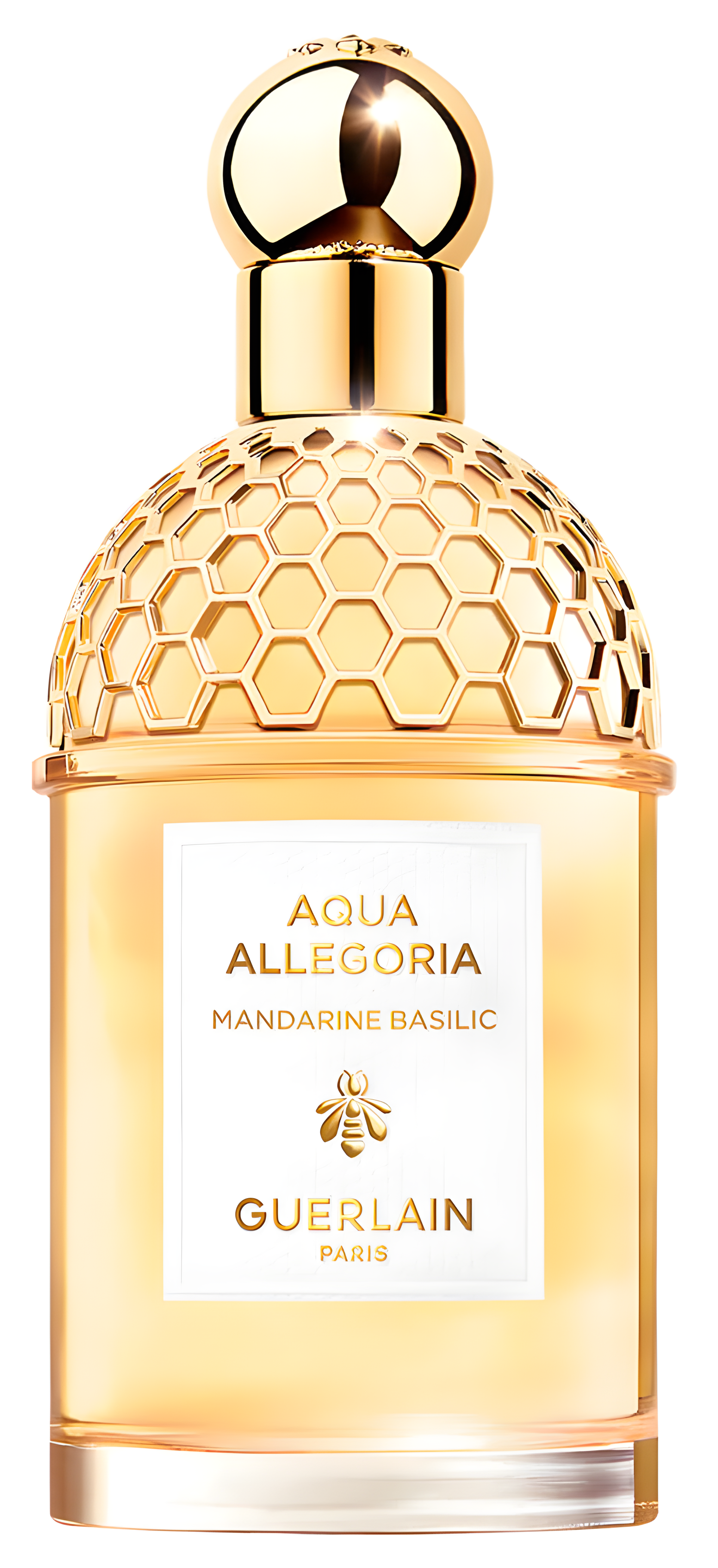 Aqua Allegoria Mandarine Basilic by Guerlain perfume bottle
