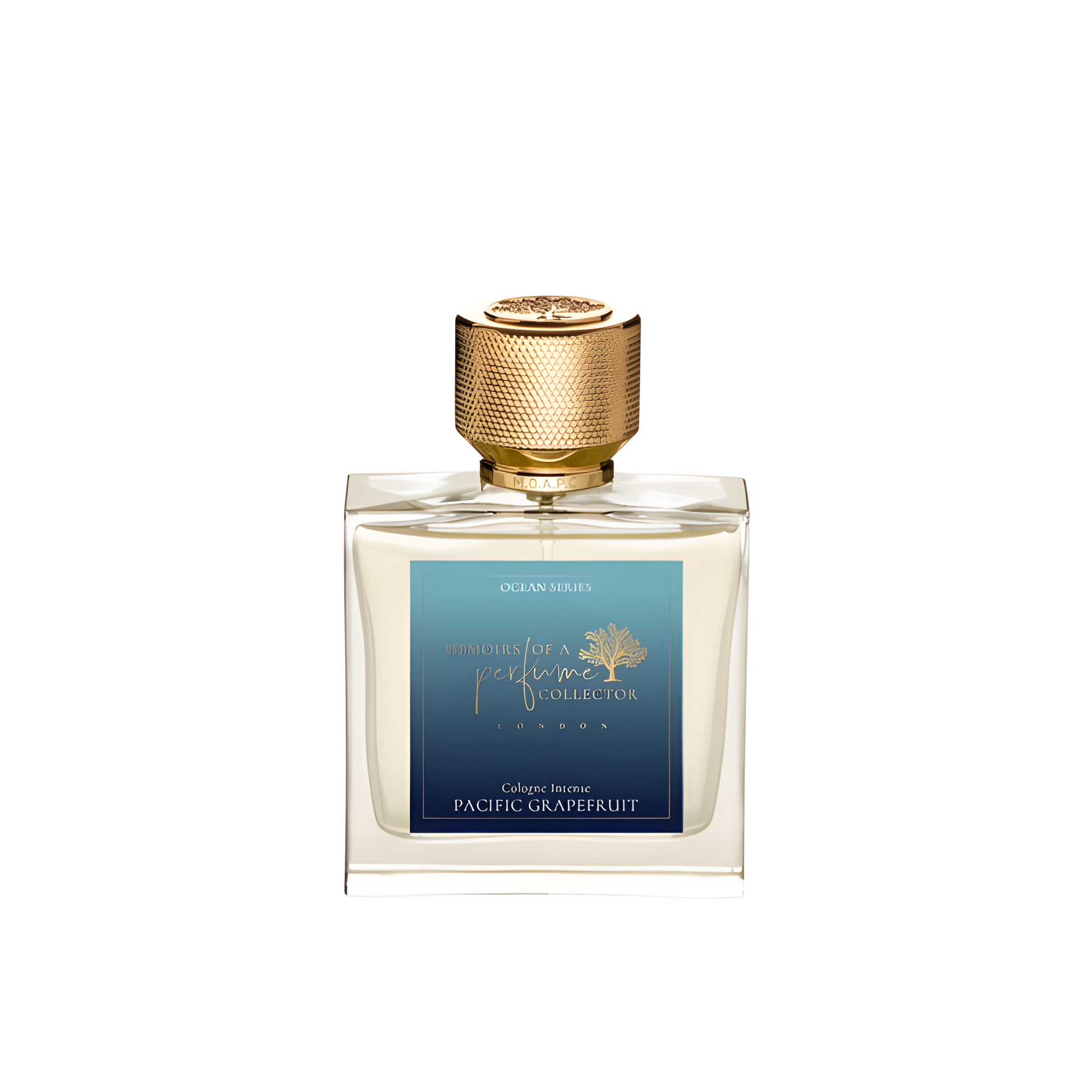 Pacific Grapefruit by Memoirs Of A Perfume Collector perfume bottle