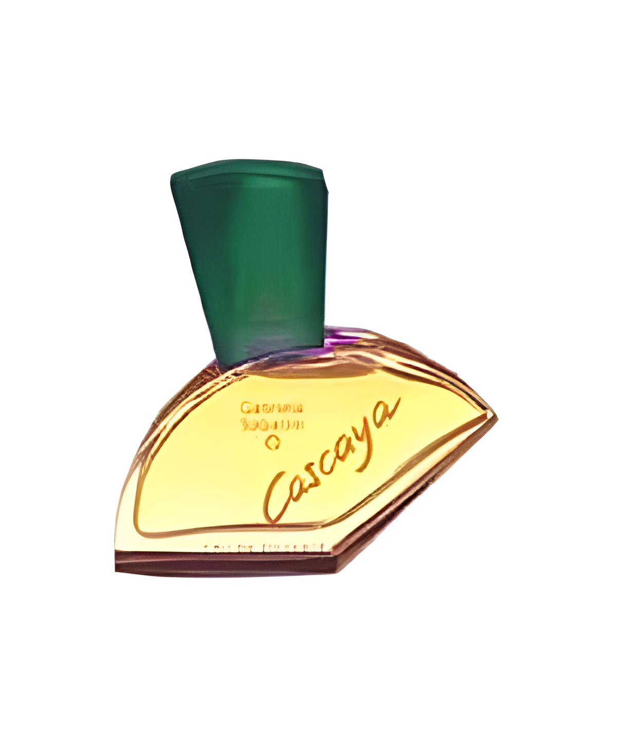 Cascaya by Gabriela Sabatini perfume bottle