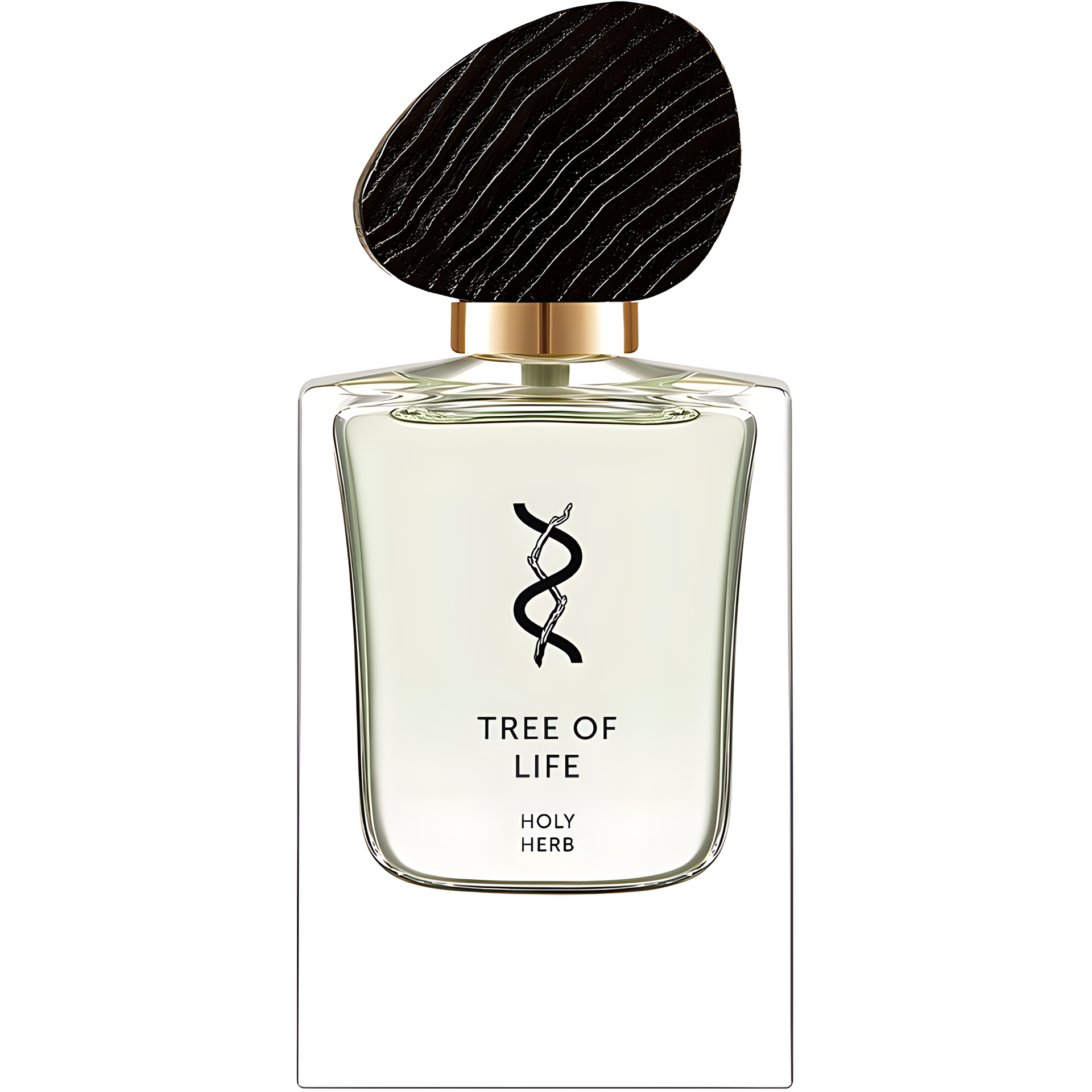 Holy Herb by Tree Of Life perfume bottle