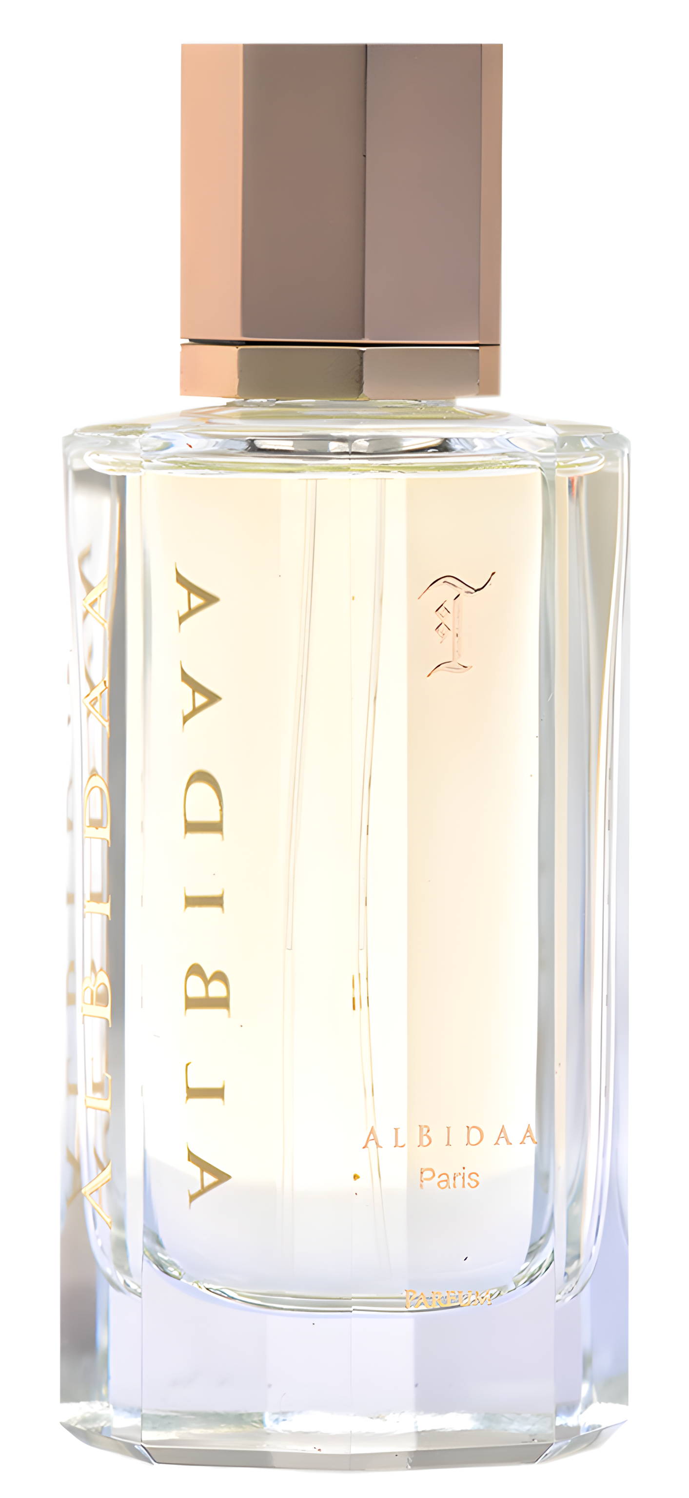 T by AlBidaa perfume bottle