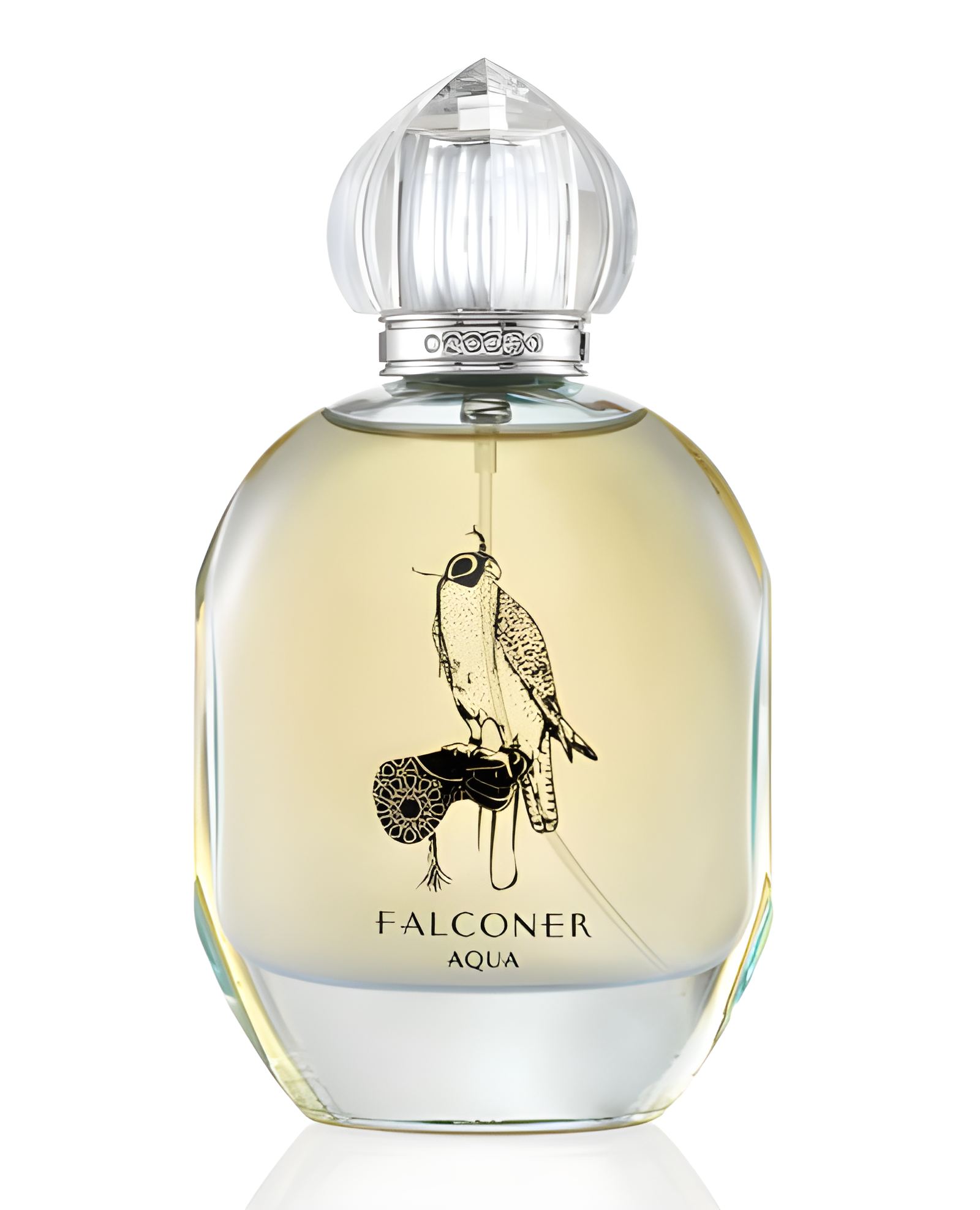 Falconer Aqua by OTTANIQO perfume bottle