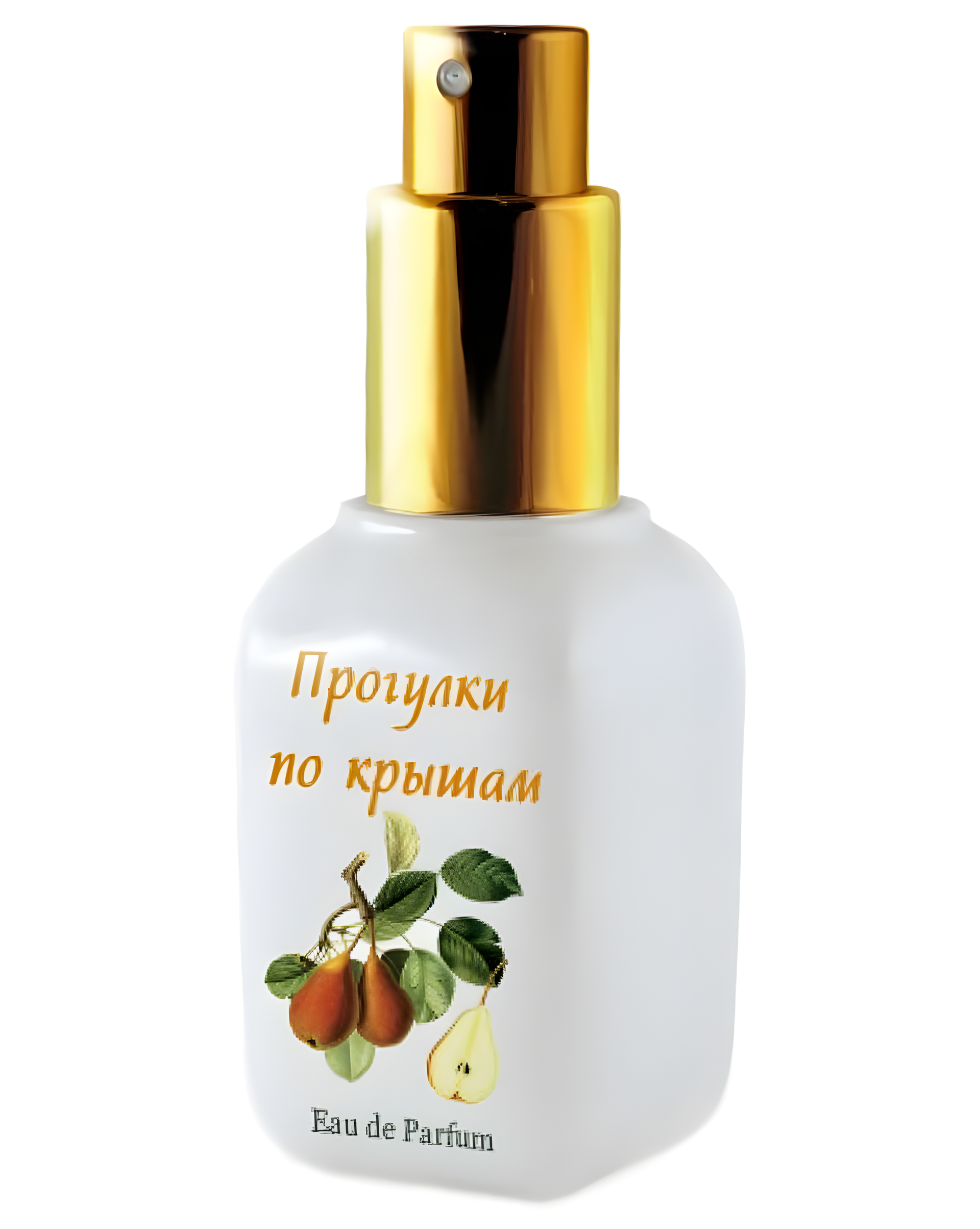 Rooftop Walks (Прогулки По Крышам) by Mazhu Kozhu (Мажу Кожу) perfume bottle