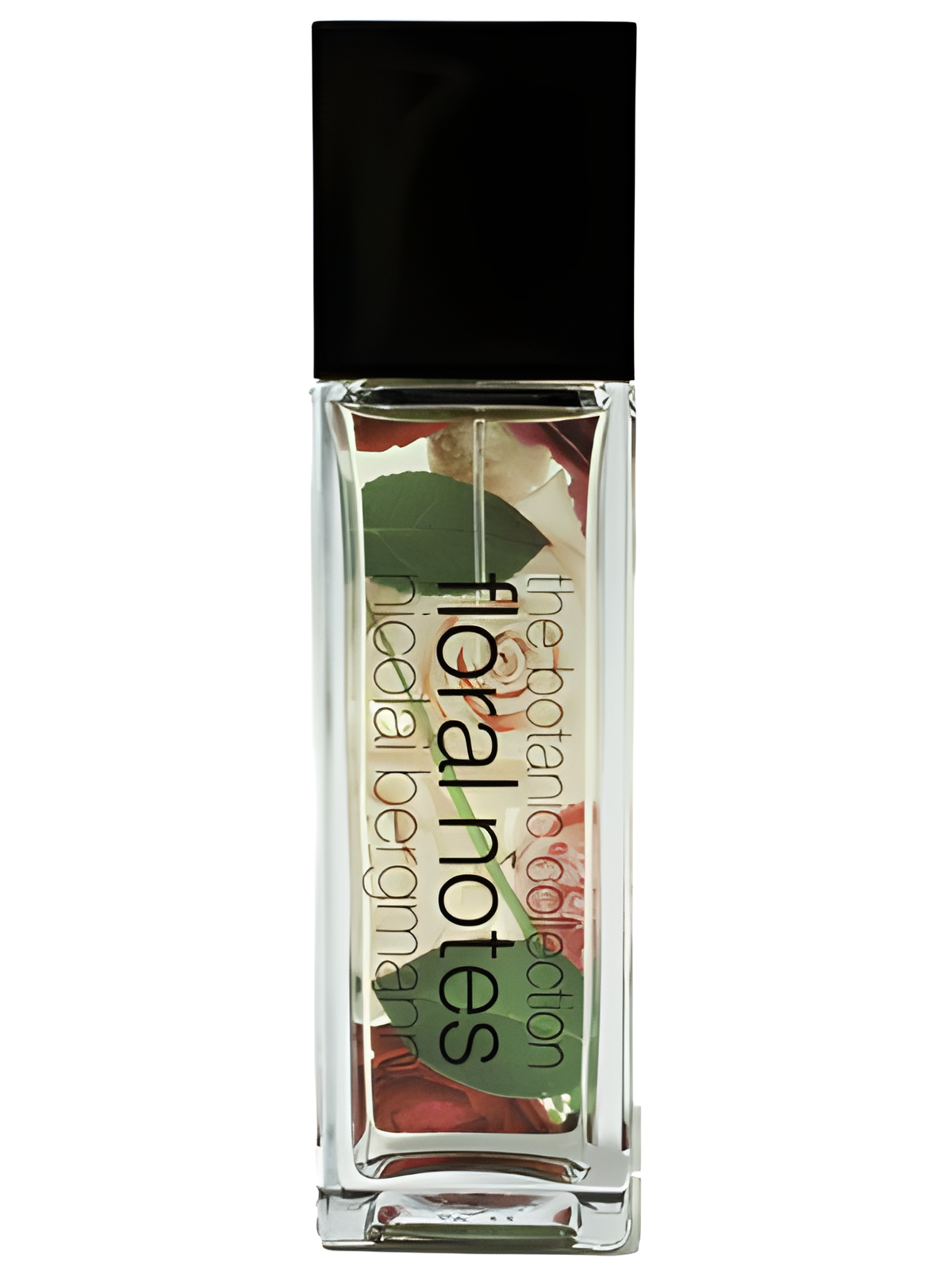 Sahara Rose by Nicolai Bergmann perfume bottle