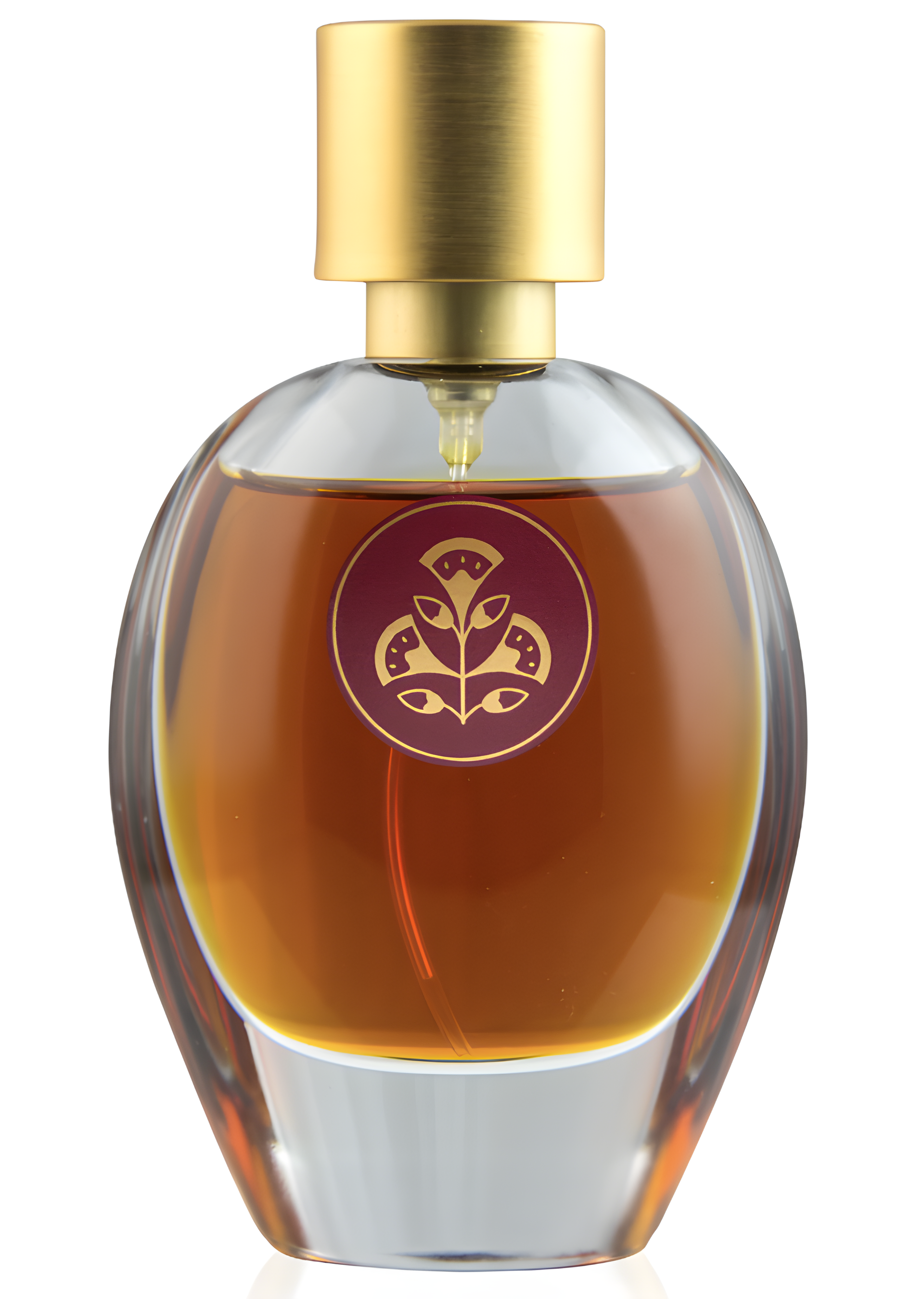 Terrae Di Siena by Amaranthvs perfume bottle
