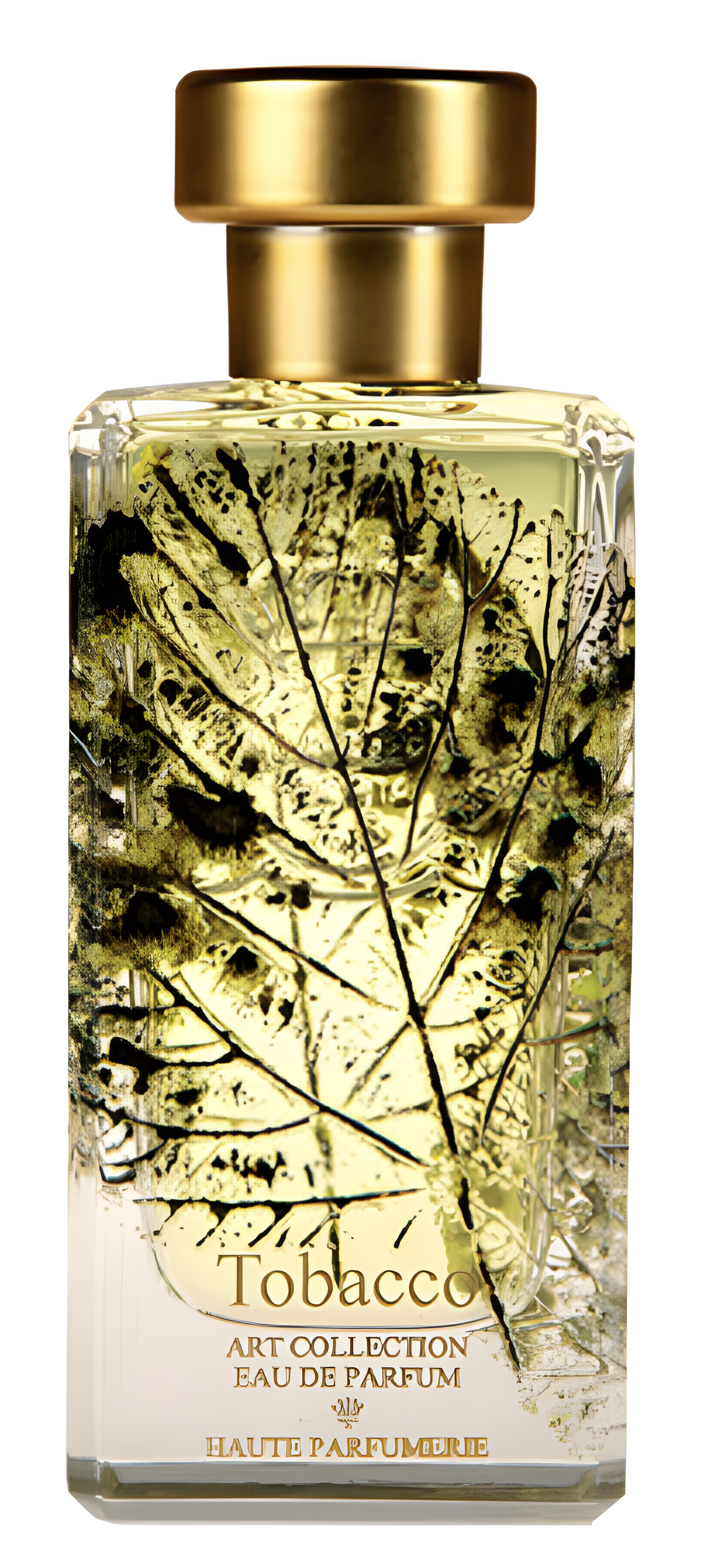 Tobacco by Al-Jazeera Perfumes perfume bottle