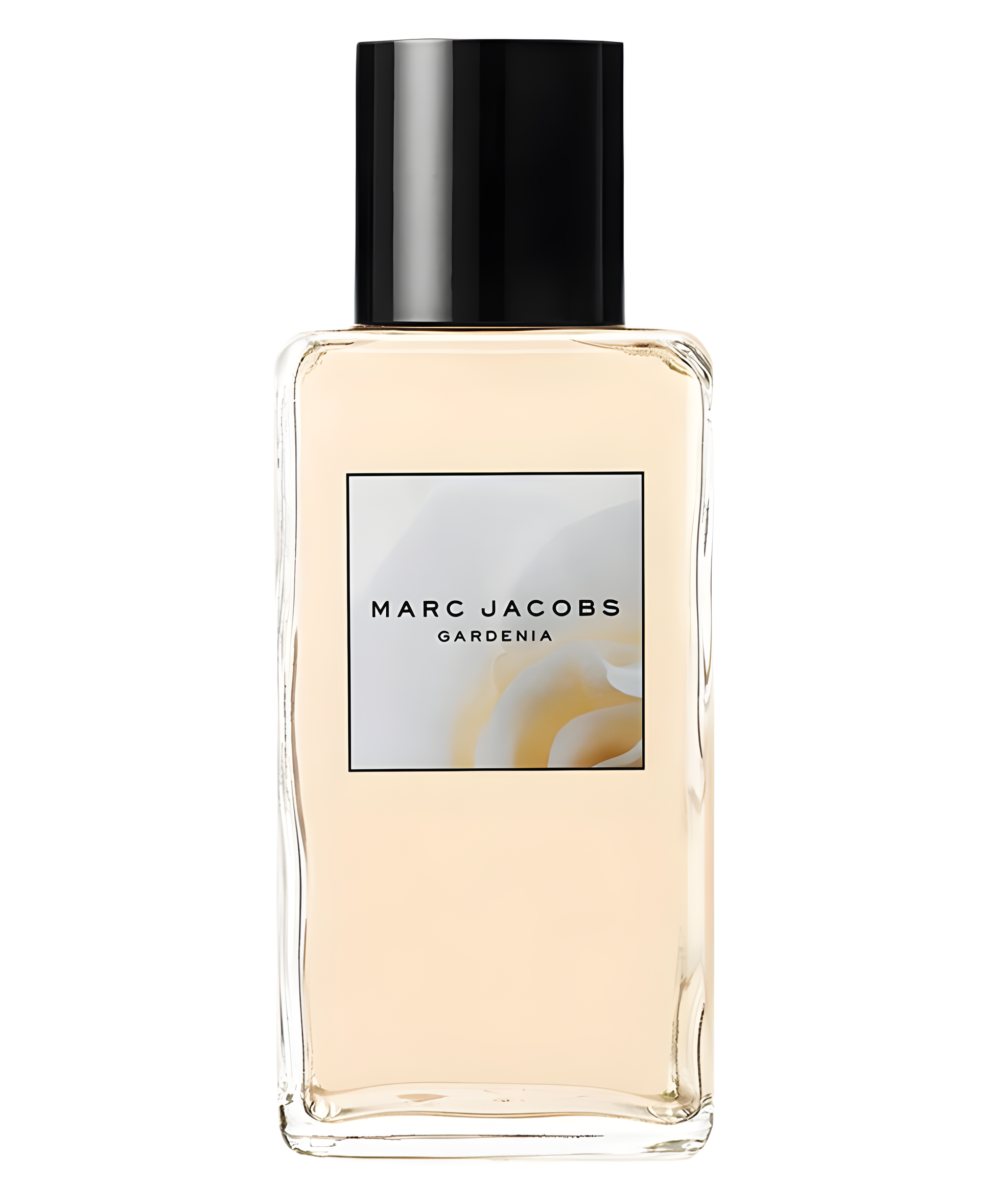 Marc Jacobs Splash Gardenia by Marc Jacobs perfume bottle