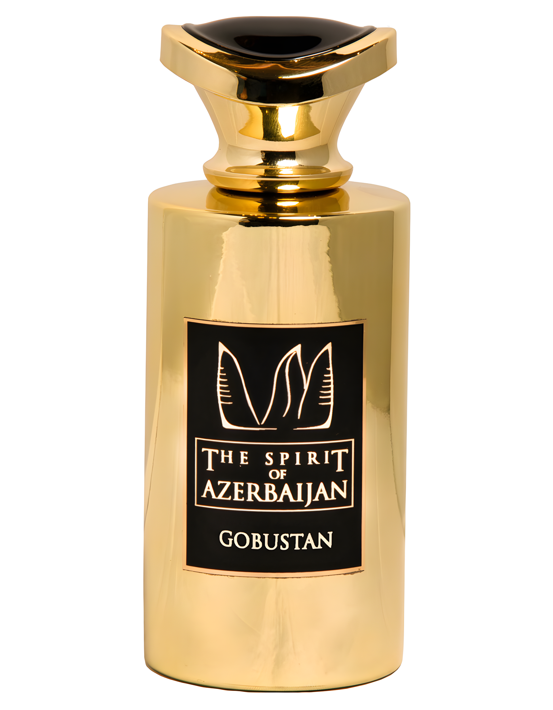 The Spirit Of Azerbaijan Gobustan