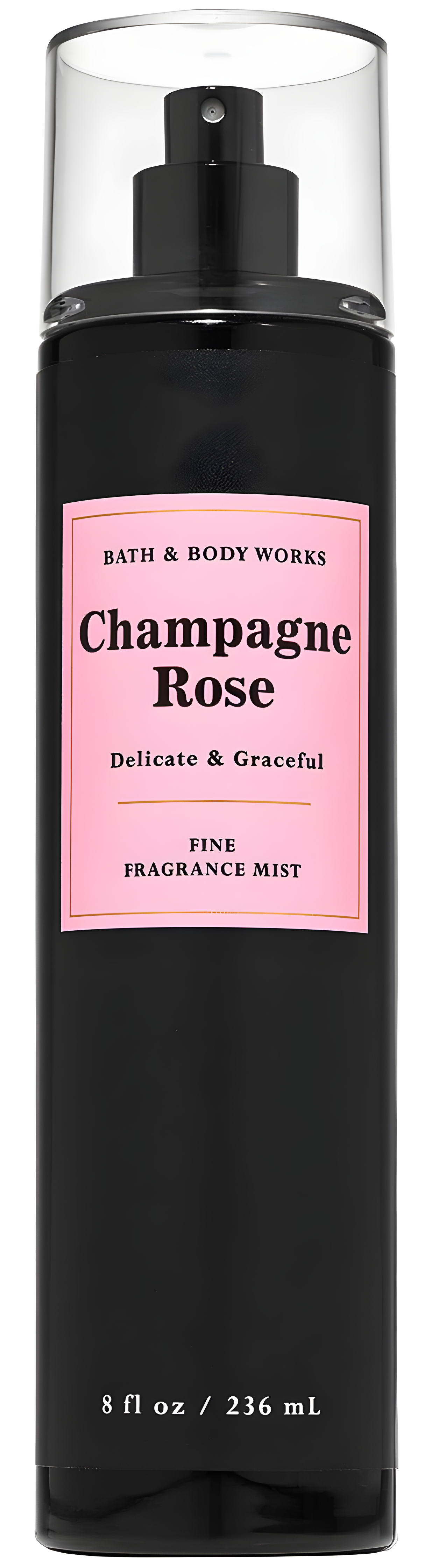 Champagne Rose by Bath & Body Works perfume bottle