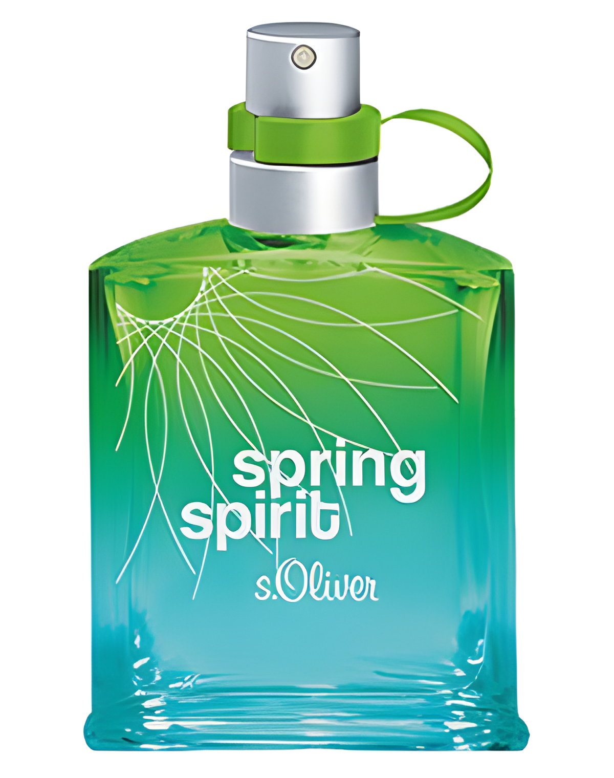s.Oliver Spring Spirit Man by s.Oliver